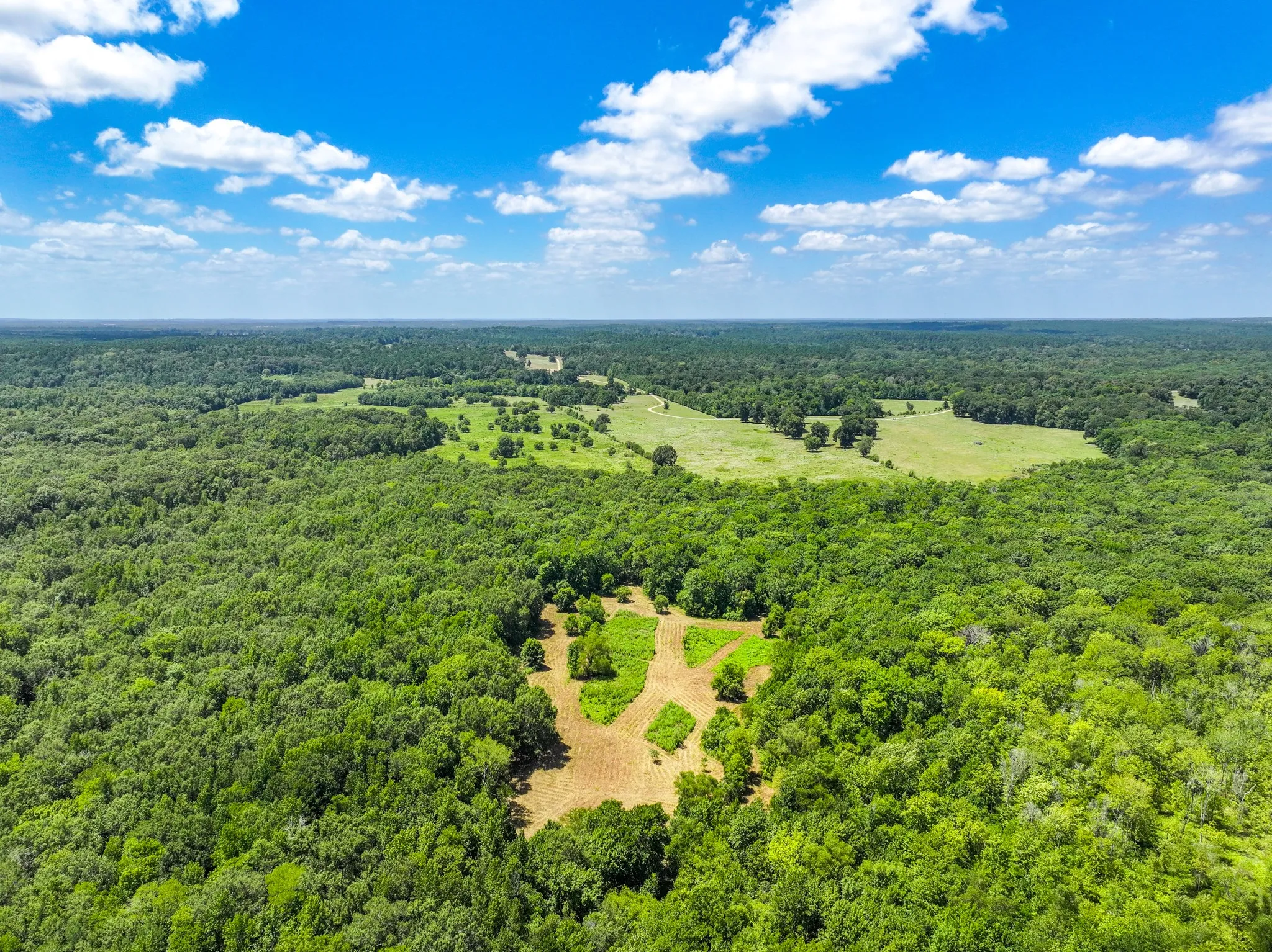 Improved Land For Sale in Leon County , 000 Private Road 1425, Centerville, Texas 75833, 0, 0, Garage spaces, 0 Sqft, built in 0, mls#21368489, Real Estate Agent in Centerville, Homes For Sale in Leon county, Homes For Sale in Centerville, Realtor in Centerville Texas, Real Estate Brokerage Independent Realty Texas, Luminita Cordes Realtor