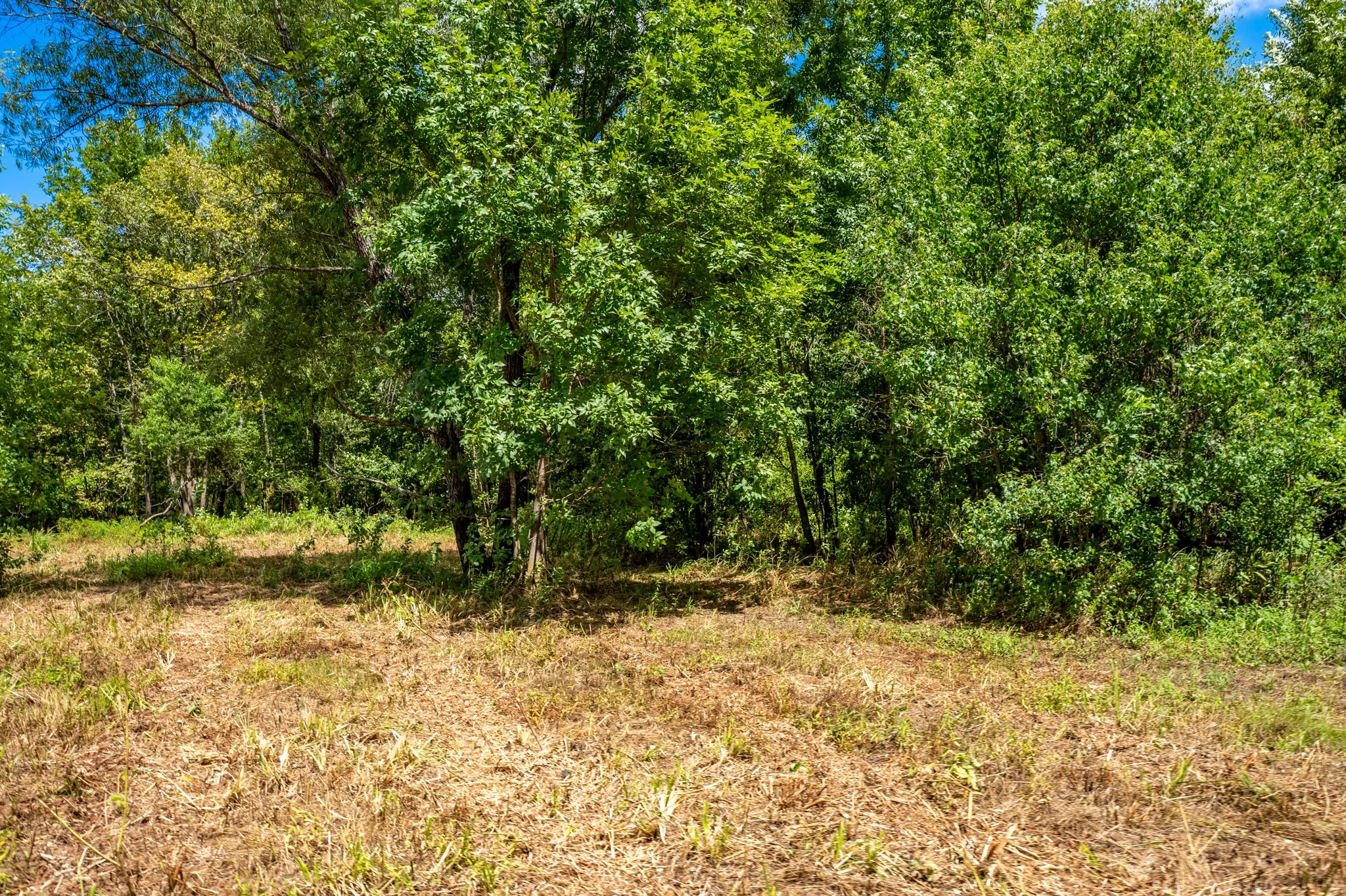Improved Land For Sale in Leon County , 000 Private Road 1425, Centerville, Texas 75833, 0, 0, Garage spaces, 0 Sqft, built in 0, mls#21368489, Real Estate Agent in Centerville, Homes For Sale in Leon county, Homes For Sale in Centerville, Realtor in Centerville Texas, Real Estate Brokerage Independent Realty Texas, Luminita Cordes Realtor