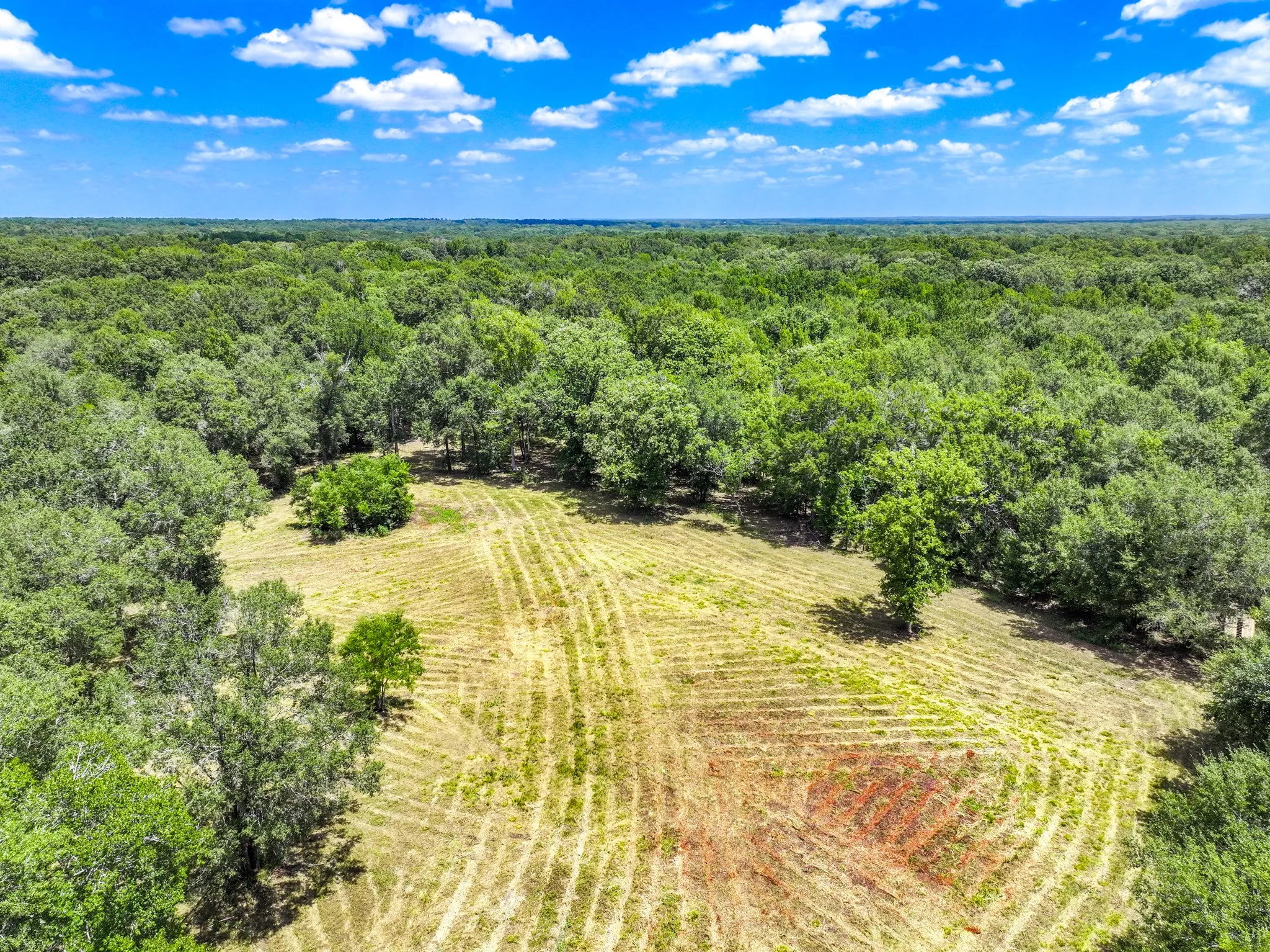 Improved Land For Sale in Leon County , 000 Private Road 1425, Centerville, Texas 75833, 0, 0, Garage spaces, 0 Sqft, built in 0, mls#21368489, Real Estate Agent in Centerville, Homes For Sale in Leon county, Homes For Sale in Centerville, Realtor in Centerville Texas, Real Estate Brokerage Independent Realty Texas, Luminita Cordes Realtor