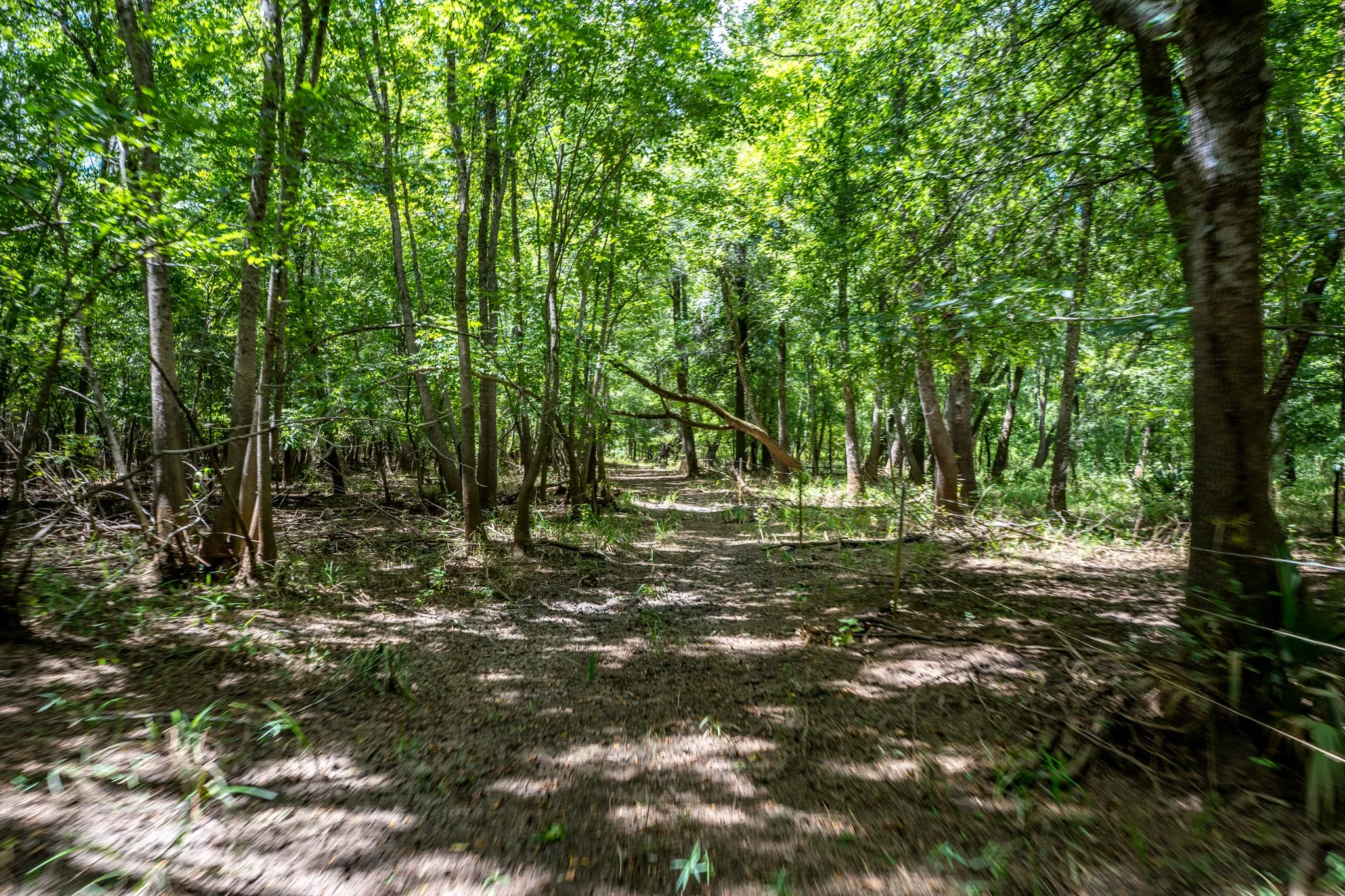 Improved Land For Sale in Leon County , 000 Private Road 1425, Centerville, Texas 75833, 0, 0, Garage spaces, 0 Sqft, built in 0, mls#21368489, Real Estate Agent in Centerville, Homes For Sale in Leon county, Homes For Sale in Centerville, Realtor in Centerville Texas, Real Estate Brokerage Independent Realty Texas, Luminita Cordes Realtor