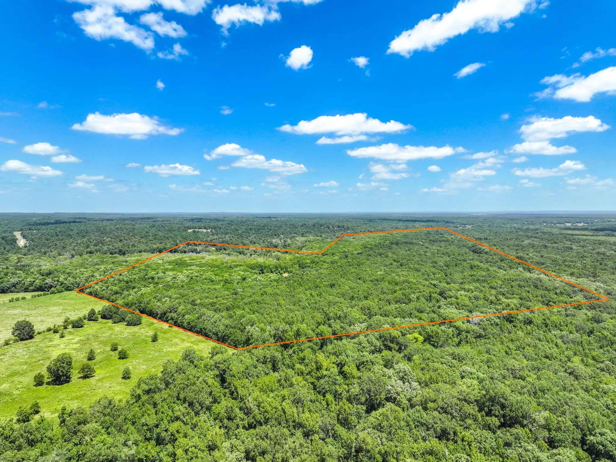Improved Land For Sale in Leon County , 000 Private Road 1425, Centerville, Texas 75833, 0, 0, Garage spaces, 0 Sqft, built in 0, mls#21368489, Real Estate Agent in Centerville, Homes For Sale in Leon county, Homes For Sale in Centerville, Realtor in Centerville Texas, Real Estate Brokerage Independent Realty Texas, Luminita Cordes Realtor