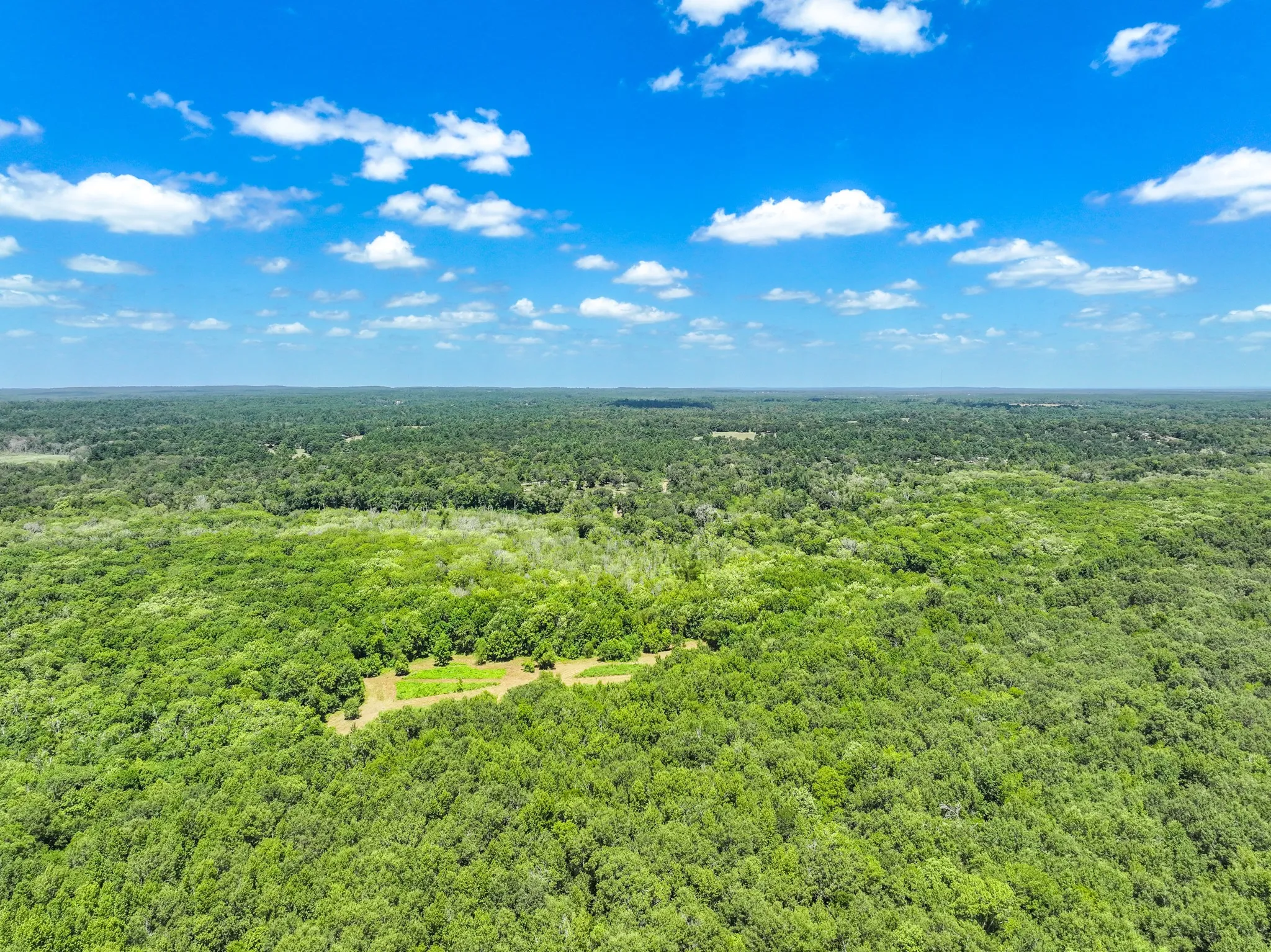 Improved Land For Sale in Leon County , 000 Private Road 1425, Centerville, Texas 75833, 0, 0, Garage spaces, 0 Sqft, built in 0, mls#21368489, Real Estate Agent in Centerville, Homes For Sale in Leon county, Homes For Sale in Centerville, Realtor in Centerville Texas, Real Estate Brokerage Independent Realty Texas, Luminita Cordes Realtor
