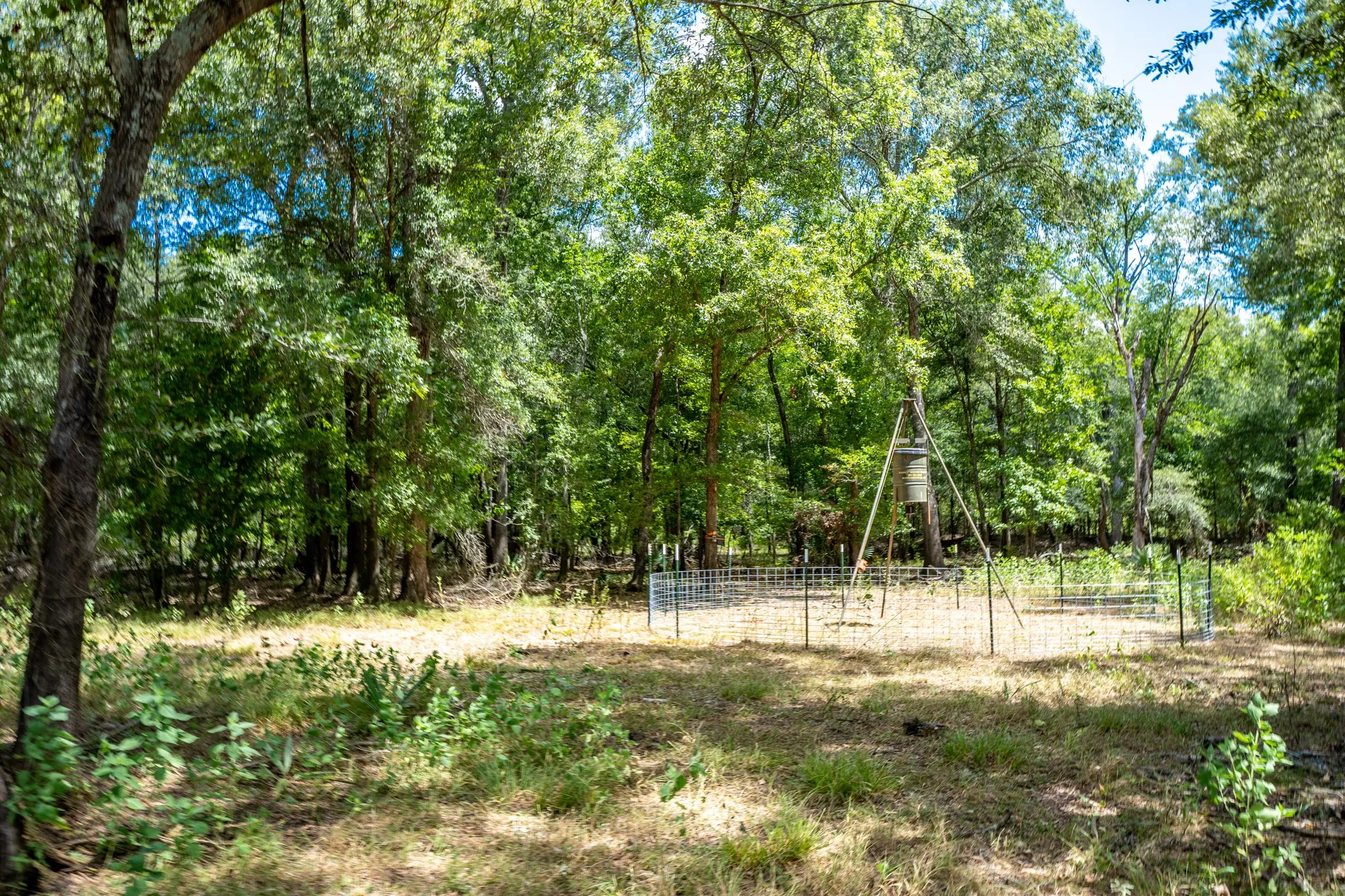 Improved Land For Sale in Leon County , 000 Private Road 1425, Centerville, Texas 75833, 0, 0, Garage spaces, 0 Sqft, built in 0, mls#21368489, Real Estate Agent in Centerville, Homes For Sale in Leon county, Homes For Sale in Centerville, Realtor in Centerville Texas, Real Estate Brokerage Independent Realty Texas, Luminita Cordes Realtor