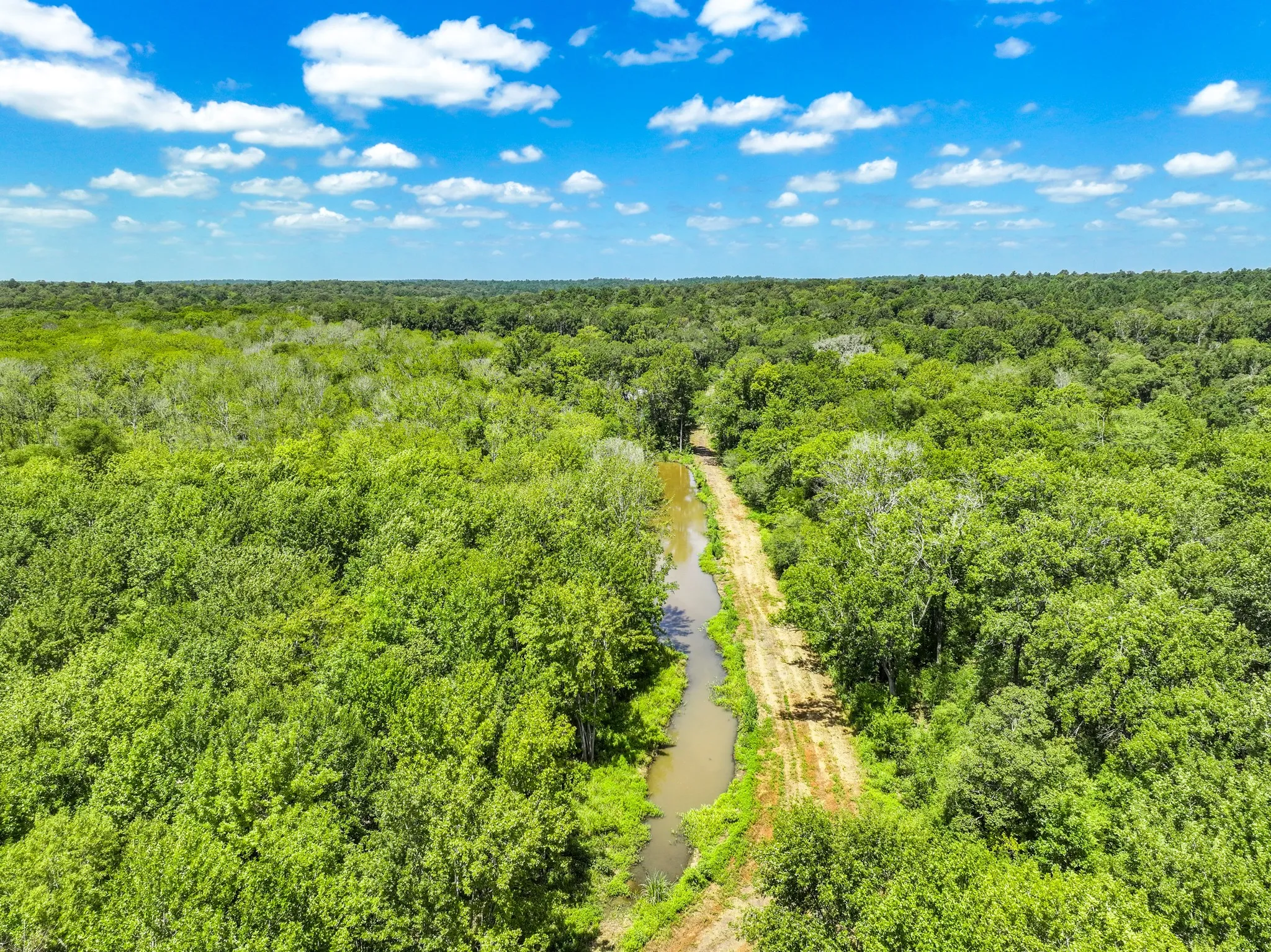 Improved Land For Sale in Leon County , 000 Private Road 1425, Centerville, Texas 75833, 0, 0, Garage spaces, 0 Sqft, built in 0, mls#21368489, Real Estate Agent in Centerville, Homes For Sale in Leon county, Homes For Sale in Centerville, Realtor in Centerville Texas, Real Estate Brokerage Independent Realty Texas, Luminita Cordes Realtor