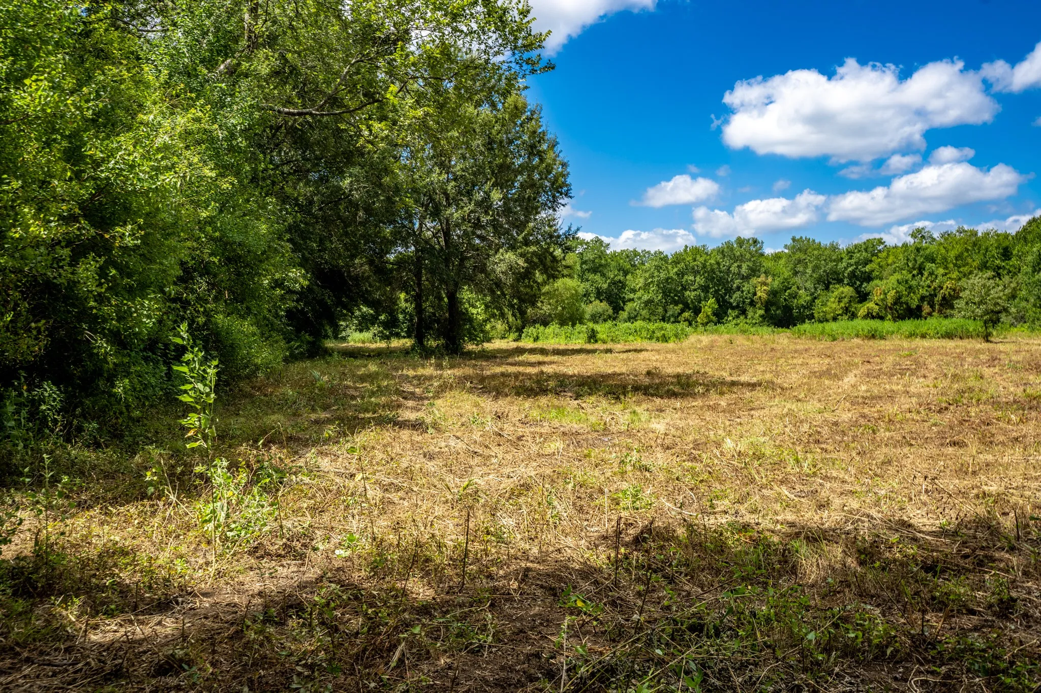 Improved Land For Sale in Leon County , 000 Private Road 1425, Centerville, Texas 75833, 0, 0, Garage spaces, 0 Sqft, built in 0, mls#21368489, Real Estate Agent in Centerville, Homes For Sale in Leon county, Homes For Sale in Centerville, Realtor in Centerville Texas, Real Estate Brokerage Independent Realty Texas, Luminita Cordes Realtor