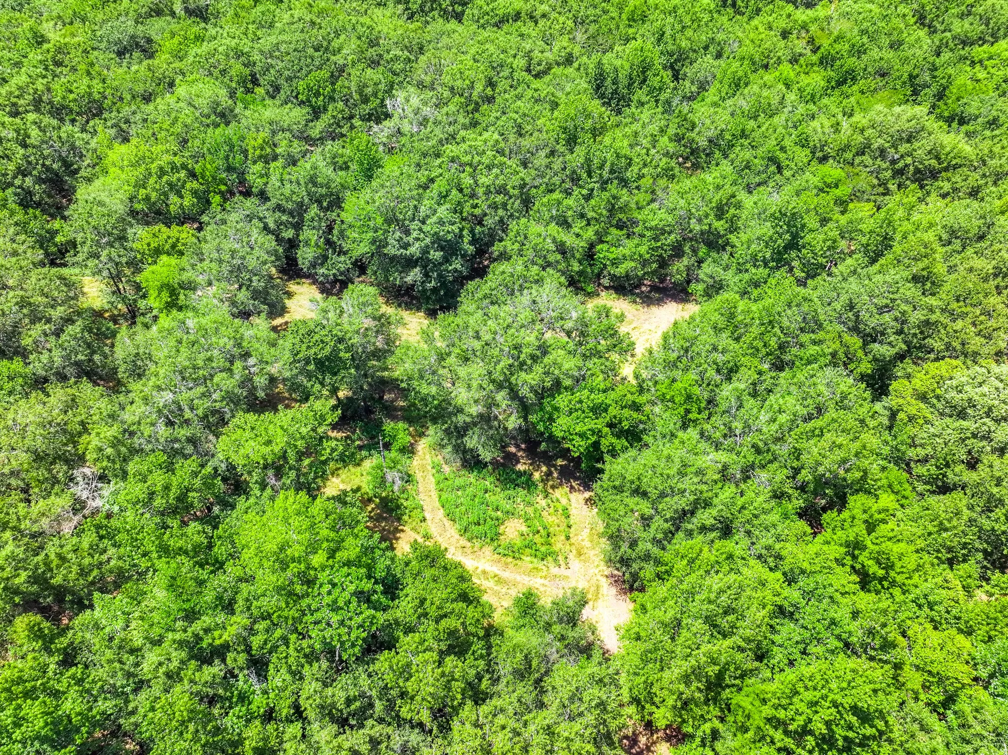 Improved Land For Sale in Leon County , 000 Private Road 1425, Centerville, Texas 75833, 0, 0, Garage spaces, 0 Sqft, built in 0, mls#21368489, Real Estate Agent in Centerville, Homes For Sale in Leon county, Homes For Sale in Centerville, Realtor in Centerville Texas, Real Estate Brokerage Independent Realty Texas, Luminita Cordes Realtor