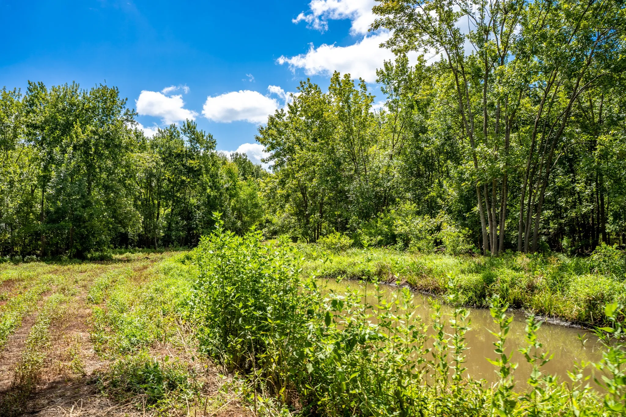 Improved Land For Sale in Leon County , 000 Private Road 1425, Centerville, Texas 75833, 0, 0, Garage spaces, 0 Sqft, built in 0, mls#21368489, Real Estate Agent in Centerville, Homes For Sale in Leon county, Homes For Sale in Centerville, Realtor in Centerville Texas, Real Estate Brokerage Independent Realty Texas, Luminita Cordes Realtor