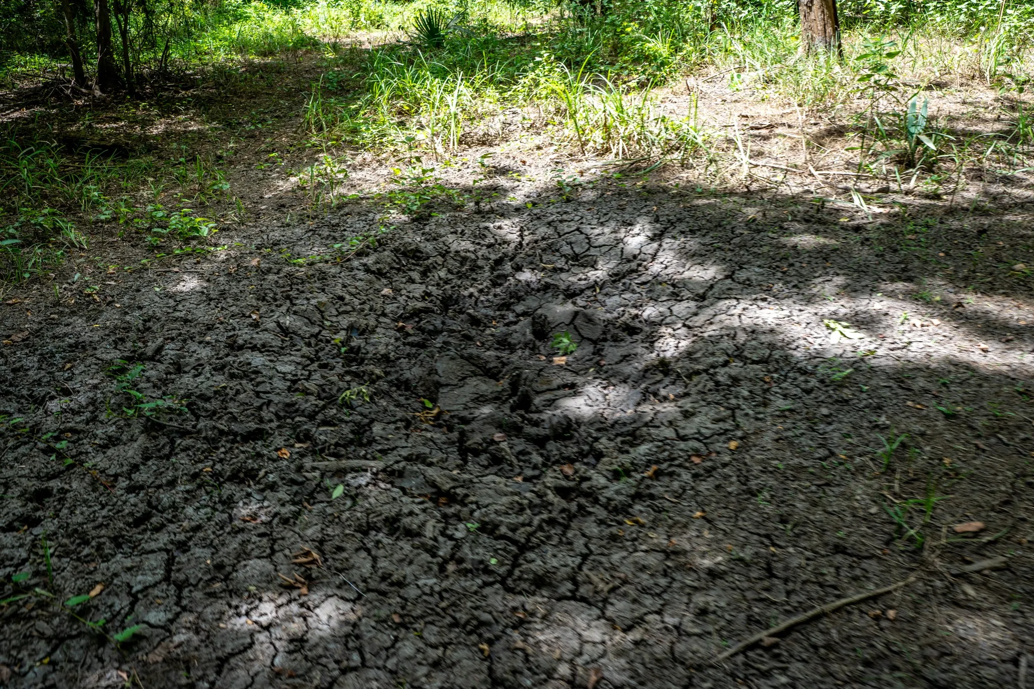 Improved Land For Sale in Leon County , 000 Private Road 1425, Centerville, Texas 75833, 0, 0, Garage spaces, 0 Sqft, built in 0, mls#21368489, Real Estate Agent in Centerville, Homes For Sale in Leon county, Homes For Sale in Centerville, Realtor in Centerville Texas, Real Estate Brokerage Independent Realty Texas, Luminita Cordes Realtor