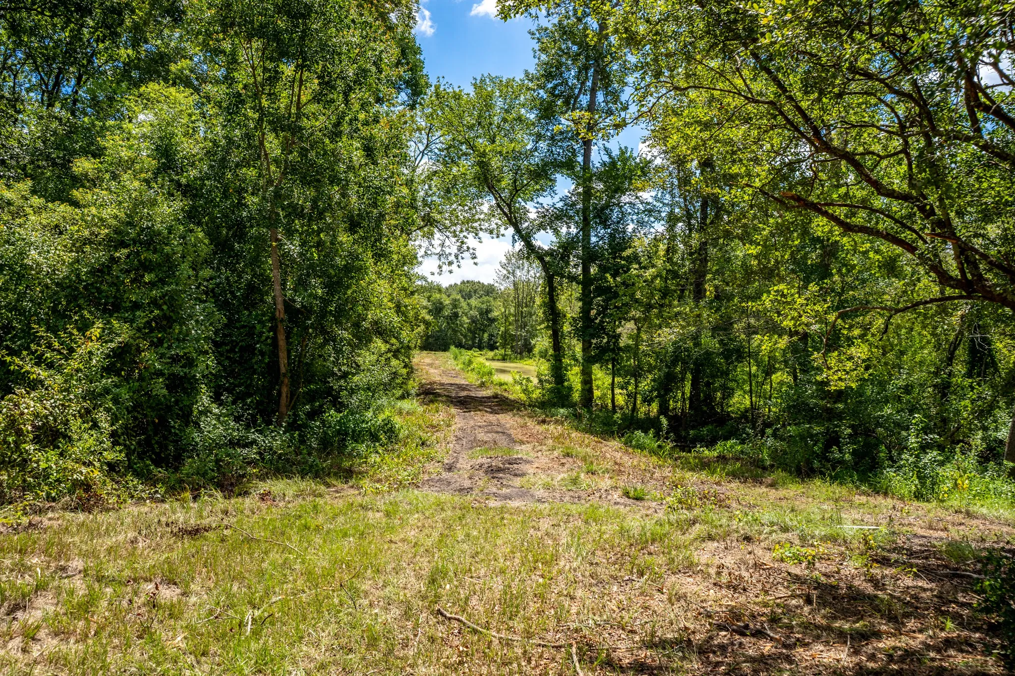 Improved Land For Sale in Leon County , 000 Private Road 1425, Centerville, Texas 75833, 0, 0, Garage spaces, 0 Sqft, built in 0, mls#21368489, Real Estate Agent in Centerville, Homes For Sale in Leon county, Homes For Sale in Centerville, Realtor in Centerville Texas, Real Estate Brokerage Independent Realty Texas, Luminita Cordes Realtor