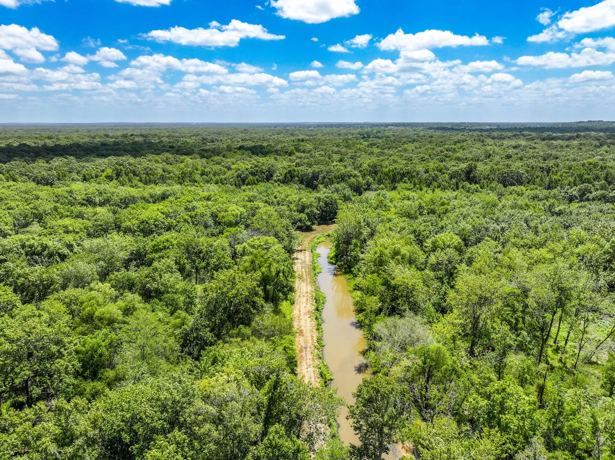 Improved Land For Sale in Leon County , 000 Private Road 1425, Centerville, Texas 75833, 0, 0, Garage spaces, 0 Sqft, built in 0, mls#21368489, Real Estate Agent in Centerville, Homes For Sale in Leon county, Homes For Sale in Centerville, Realtor in Centerville Texas, Real Estate Brokerage Independent Realty Texas, Luminita Cordes Realtor