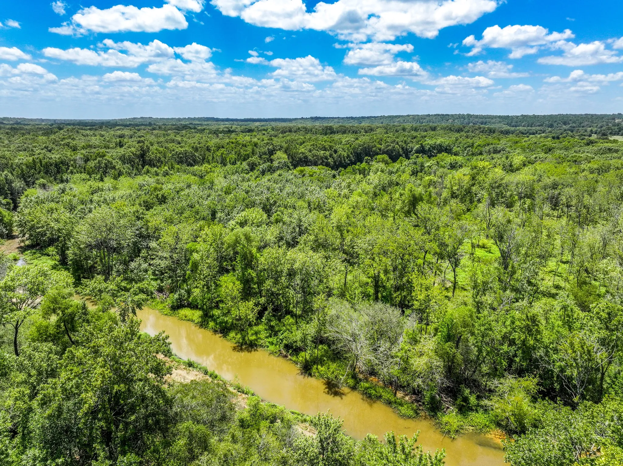 Improved Land For Sale in Leon County , 000 Private Road 1425, Centerville, Texas 75833, 0, 0, Garage spaces, 0 Sqft, built in 0, mls#21368489, Real Estate Agent in Centerville, Homes For Sale in Leon county, Homes For Sale in Centerville, Realtor in Centerville Texas, Real Estate Brokerage Independent Realty Texas, Luminita Cordes Realtor