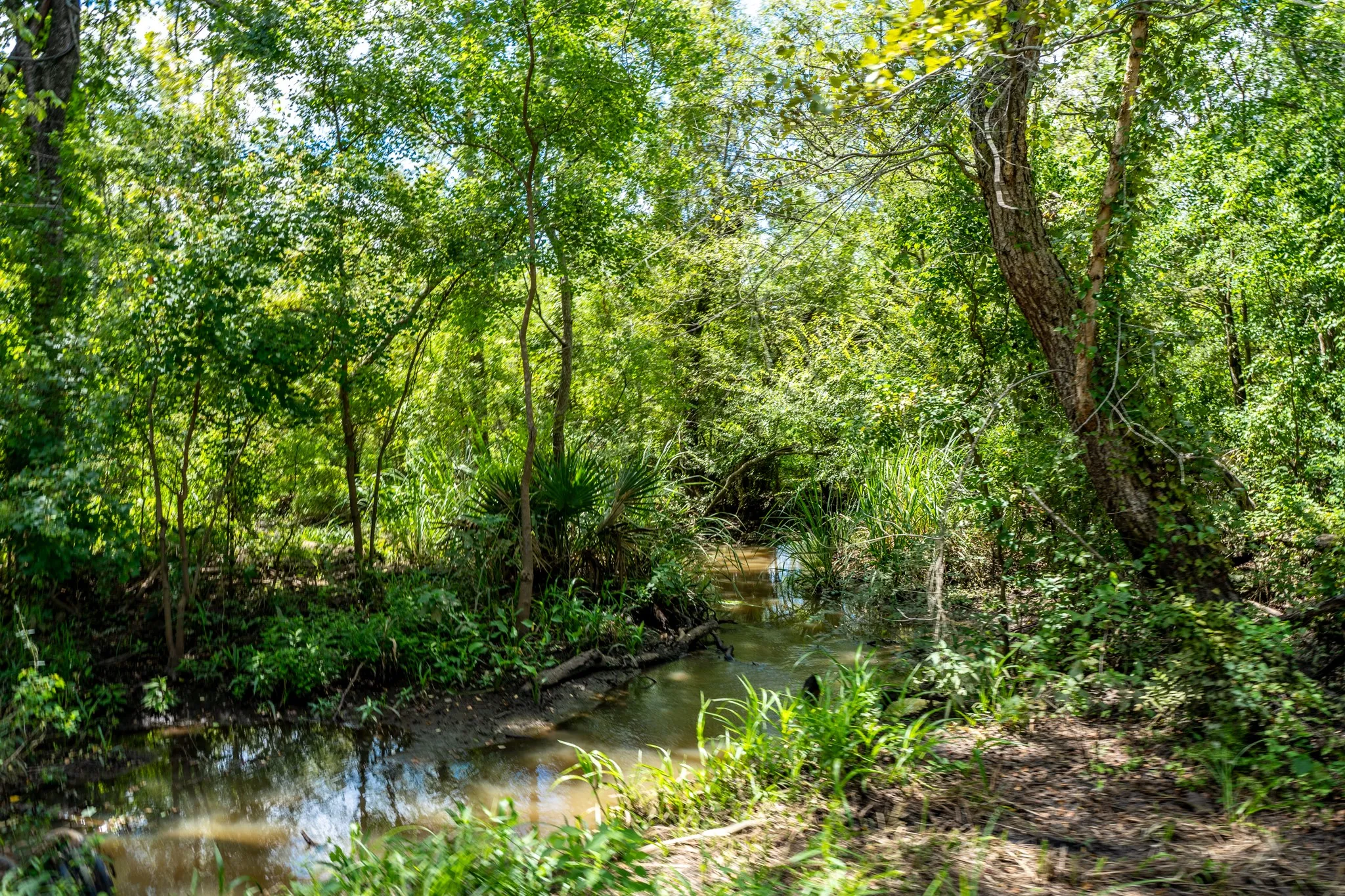 Improved Land For Sale in Leon County , 000 Private Road 1425, Centerville, Texas 75833, 0, 0, Garage spaces, 0 Sqft, built in 0, mls#21368489, Real Estate Agent in Centerville, Homes For Sale in Leon county, Homes For Sale in Centerville, Realtor in Centerville Texas, Real Estate Brokerage Independent Realty Texas, Luminita Cordes Realtor