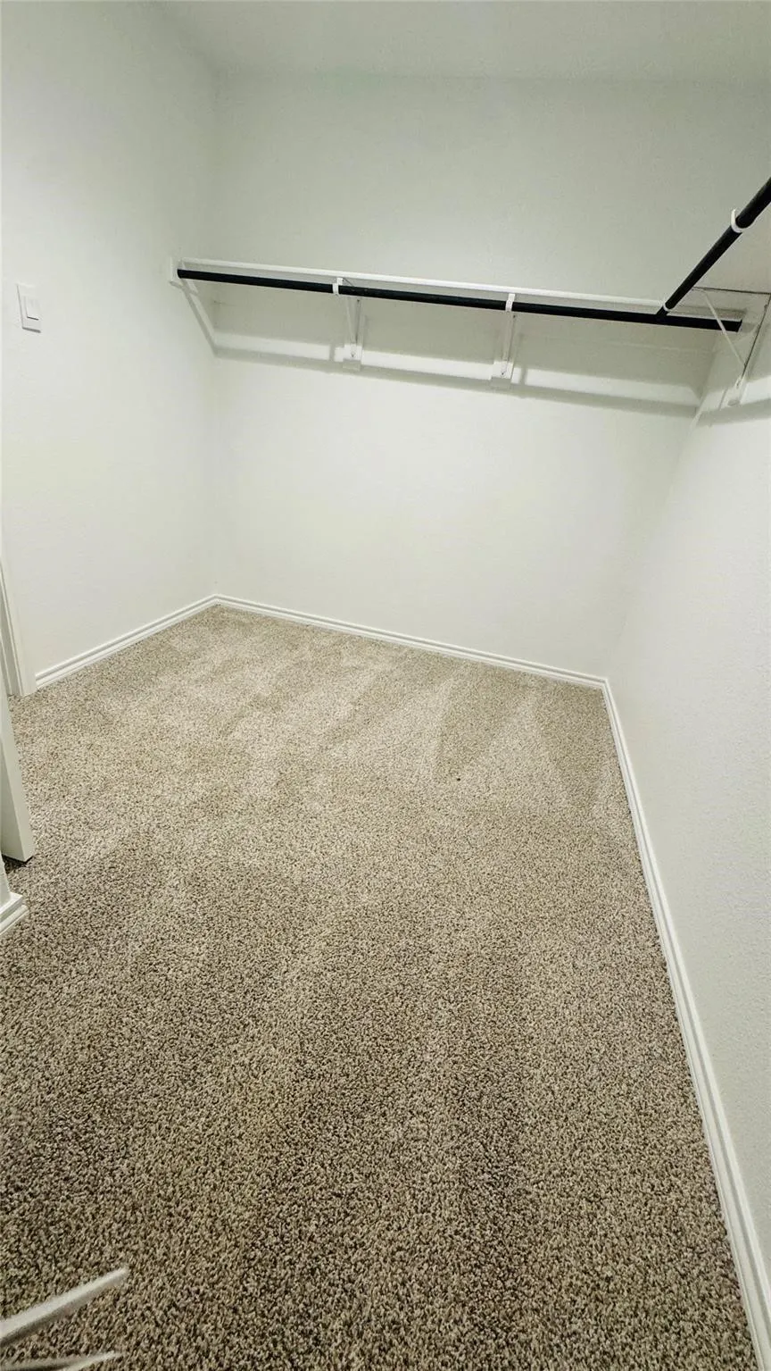 Walk-in closet with carpeted flooring and built-in shelving and hanging rods
