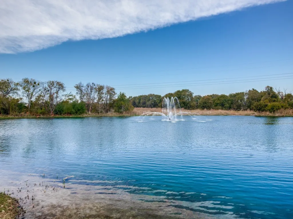 catch and release pond