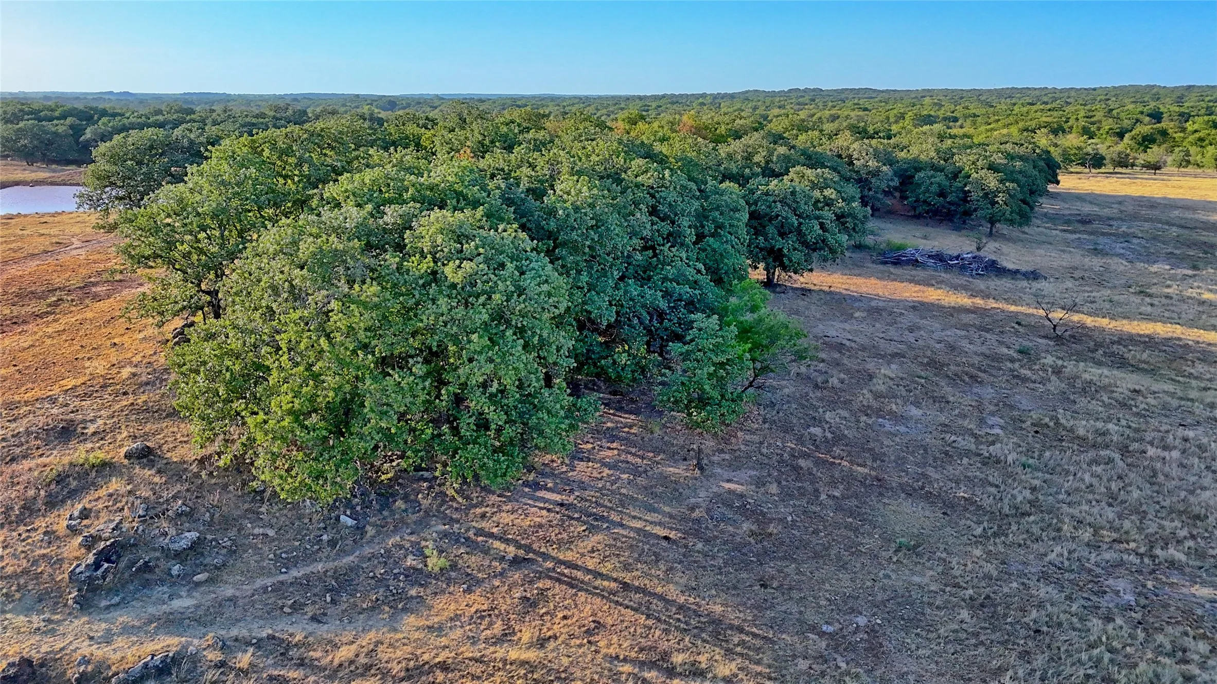Unimproved Land For Sale in Montague County , 906 Rock Springs School Road, Nocona, Texas 76255, 0, 0, Garage spaces, 0 Sqft, built in 0, mls#21368522, Real Estate Agent in Nocona, Homes For Sale in Montague county, Homes For Sale in Nocona, Realtor in Nocona Texas, Real Estate Brokerage Independent Realty Texas, Luminita Cordes Realtor