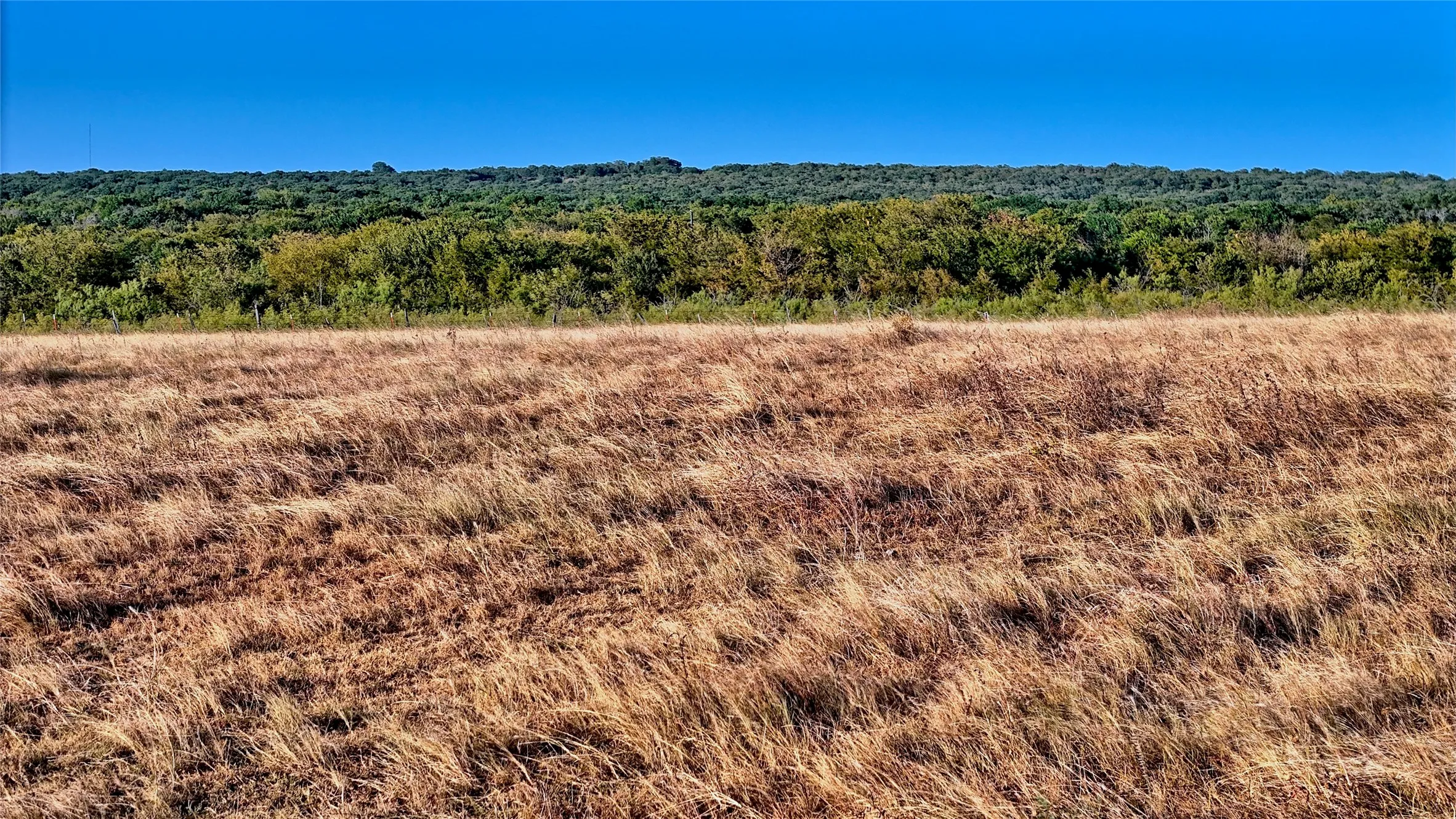 Unimproved Land For Sale in Montague County , 906 Rock Springs School Road, Nocona, Texas 76255, 0, 0, Garage spaces, 0 Sqft, built in 0, mls#21368522, Real Estate Agent in Nocona, Homes For Sale in Montague county, Homes For Sale in Nocona, Realtor in Nocona Texas, Real Estate Brokerage Independent Realty Texas, Luminita Cordes Realtor