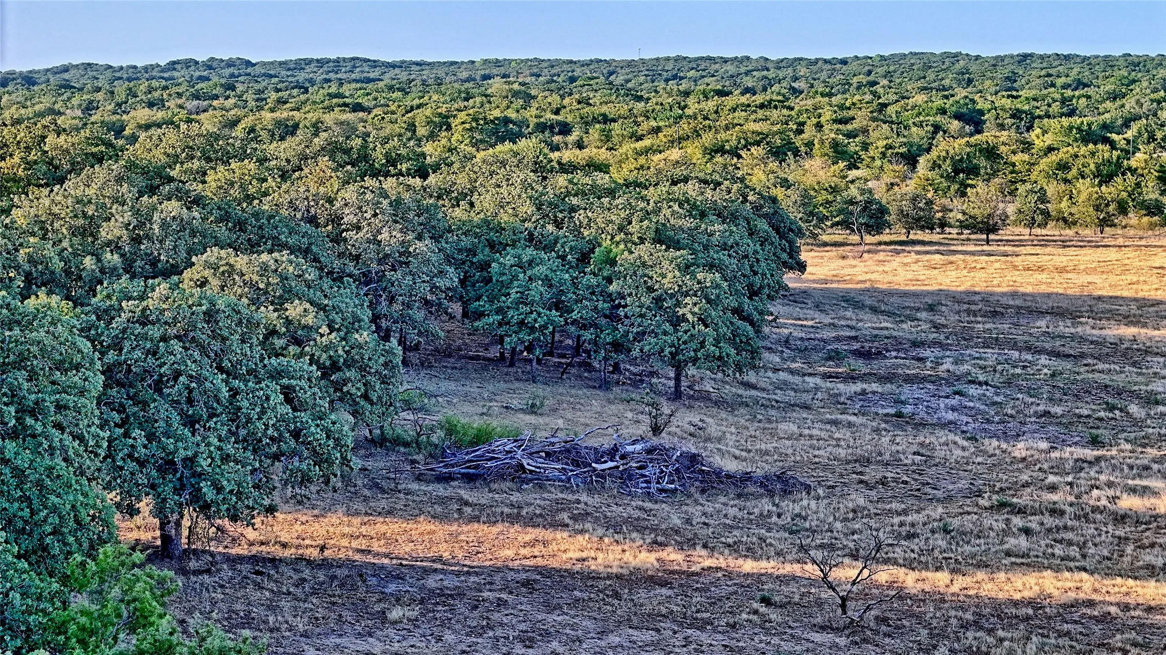 Unimproved Land For Sale in Montague County , 906 Rock Springs School Road, Nocona, Texas 76255, 0, 0, Garage spaces, 0 Sqft, built in 0, mls#21368522, Real Estate Agent in Nocona, Homes For Sale in Montague county, Homes For Sale in Nocona, Realtor in Nocona Texas, Real Estate Brokerage Independent Realty Texas, Luminita Cordes Realtor