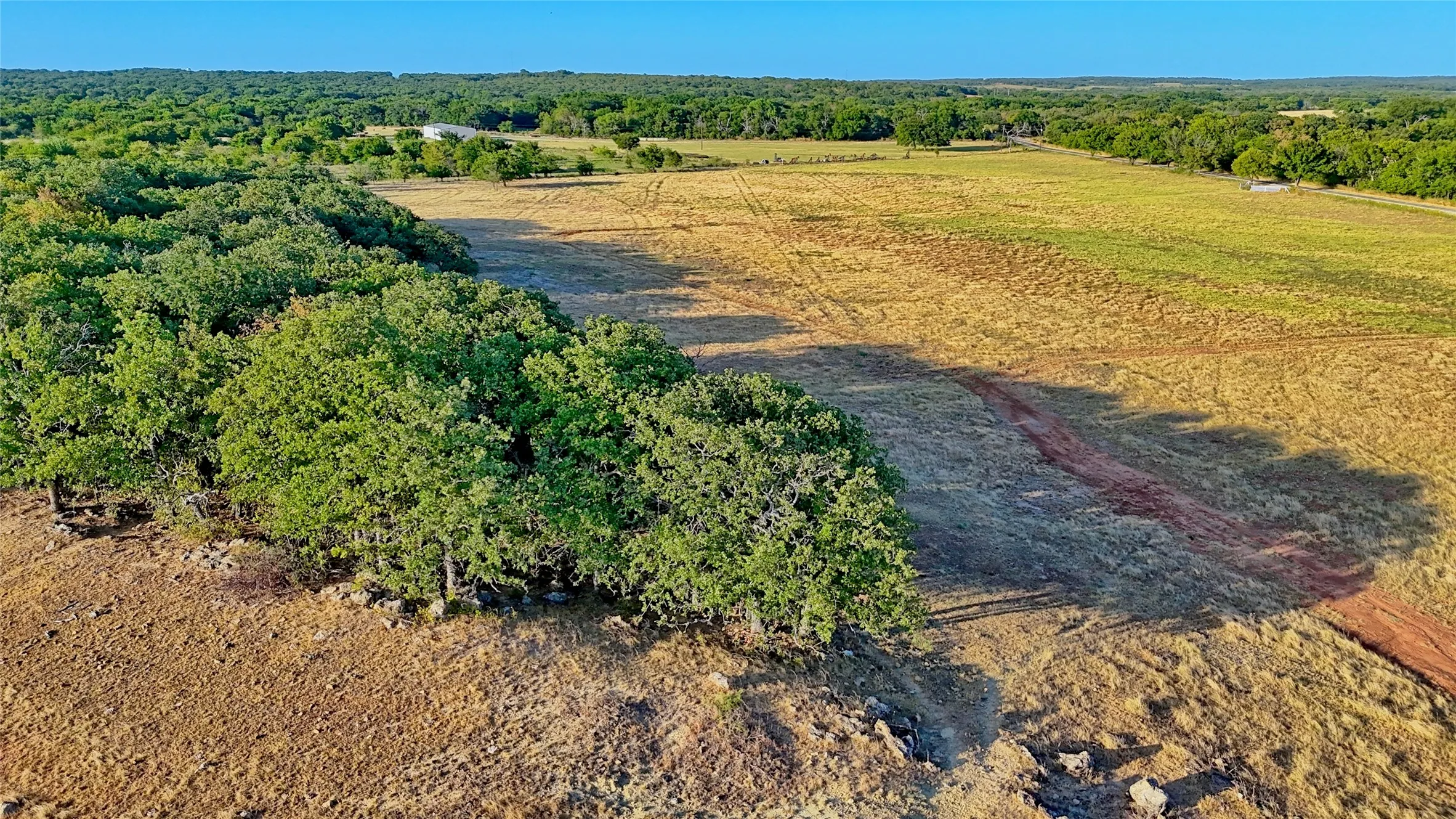 Unimproved Land For Sale in Montague County , 906 Rock Springs School Road, Nocona, Texas 76255, 0, 0, Garage spaces, 0 Sqft, built in 0, mls#21368522, Real Estate Agent in Nocona, Homes For Sale in Montague county, Homes For Sale in Nocona, Realtor in Nocona Texas, Real Estate Brokerage Independent Realty Texas, Luminita Cordes Realtor