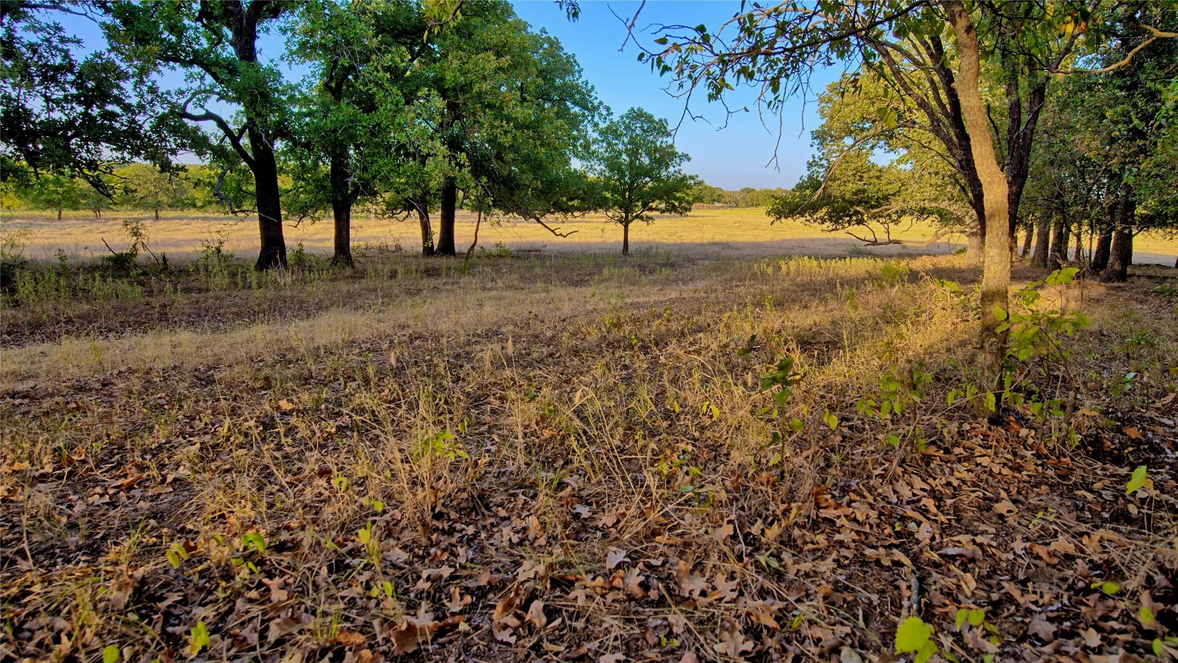 Unimproved Land For Sale in Montague County , 906 Rock Springs School Road, Nocona, Texas 76255, 0, 0, Garage spaces, 0 Sqft, built in 0, mls#21368522, Real Estate Agent in Nocona, Homes For Sale in Montague county, Homes For Sale in Nocona, Realtor in Nocona Texas, Real Estate Brokerage Independent Realty Texas, Luminita Cordes Realtor