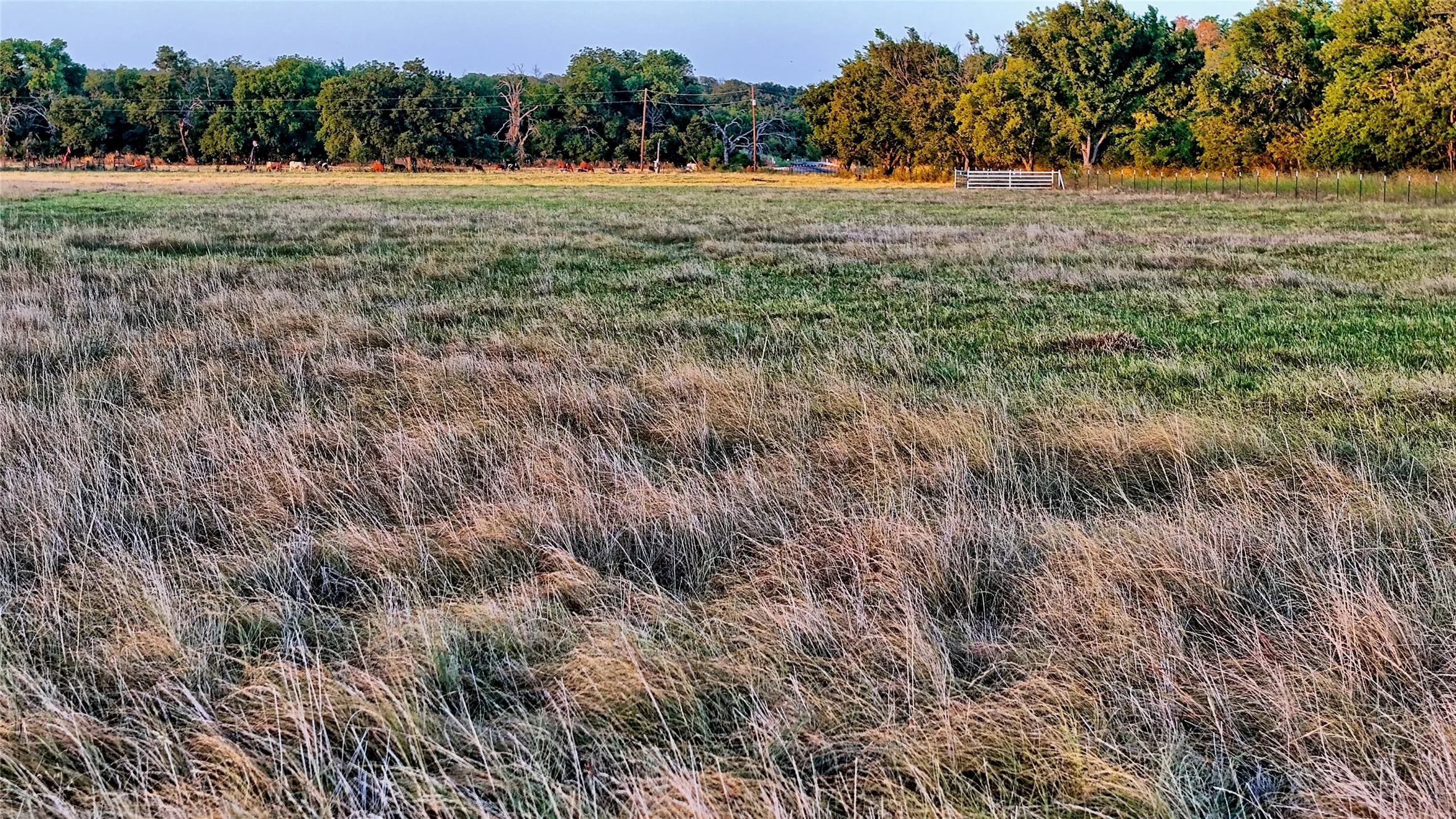Unimproved Land For Sale in Montague County , 906 Rock Springs School Road, Nocona, Texas 76255, 0, 0, Garage spaces, 0 Sqft, built in 0, mls#21368522, Real Estate Agent in Nocona, Homes For Sale in Montague county, Homes For Sale in Nocona, Realtor in Nocona Texas, Real Estate Brokerage Independent Realty Texas, Luminita Cordes Realtor