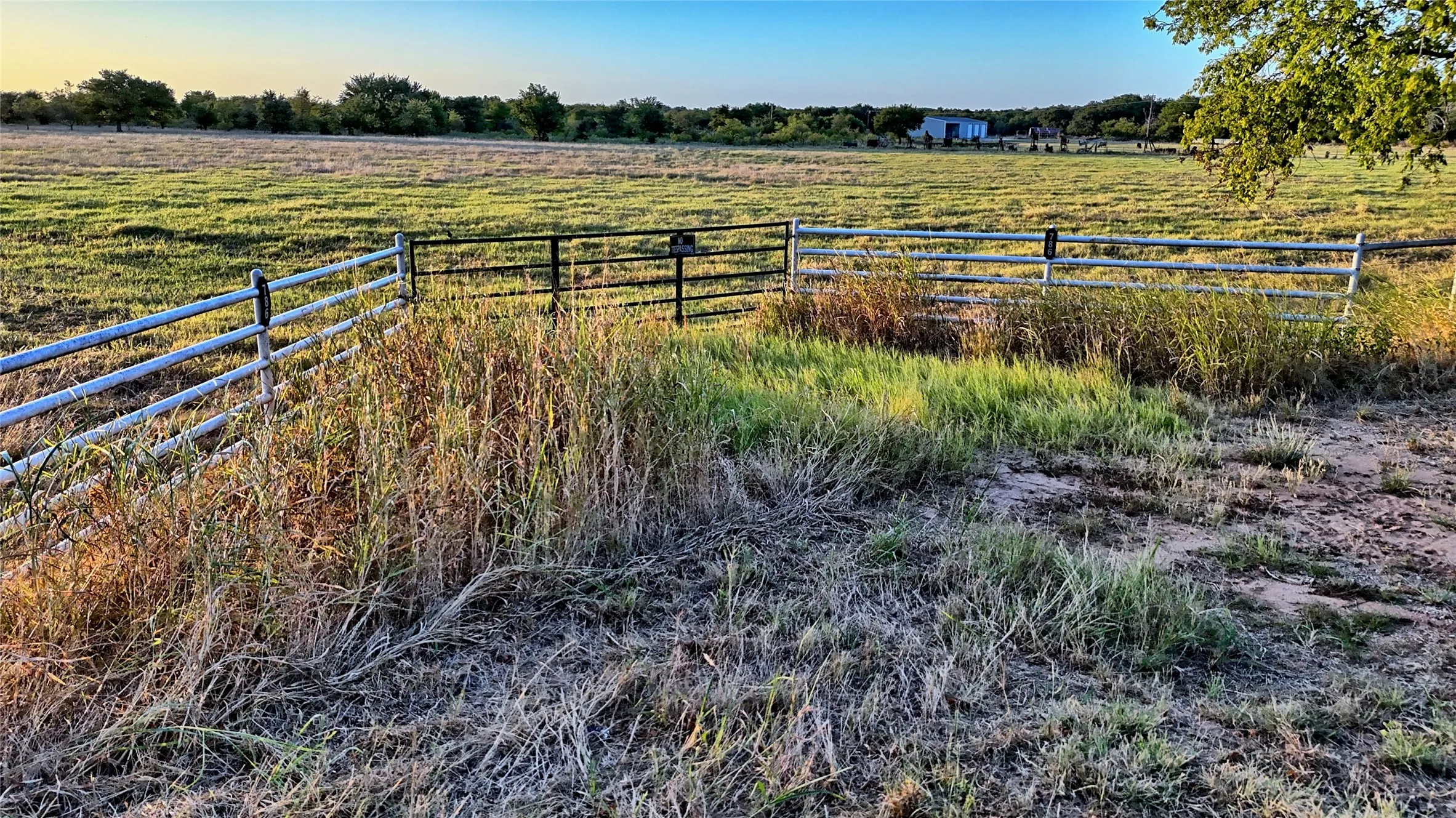 Unimproved Land For Sale in Montague County , 906 Rock Springs School Road, Nocona, Texas 76255, 0, 0, Garage spaces, 0 Sqft, built in 0, mls#21368522, Real Estate Agent in Nocona, Homes For Sale in Montague county, Homes For Sale in Nocona, Realtor in Nocona Texas, Real Estate Brokerage Independent Realty Texas, Luminita Cordes Realtor