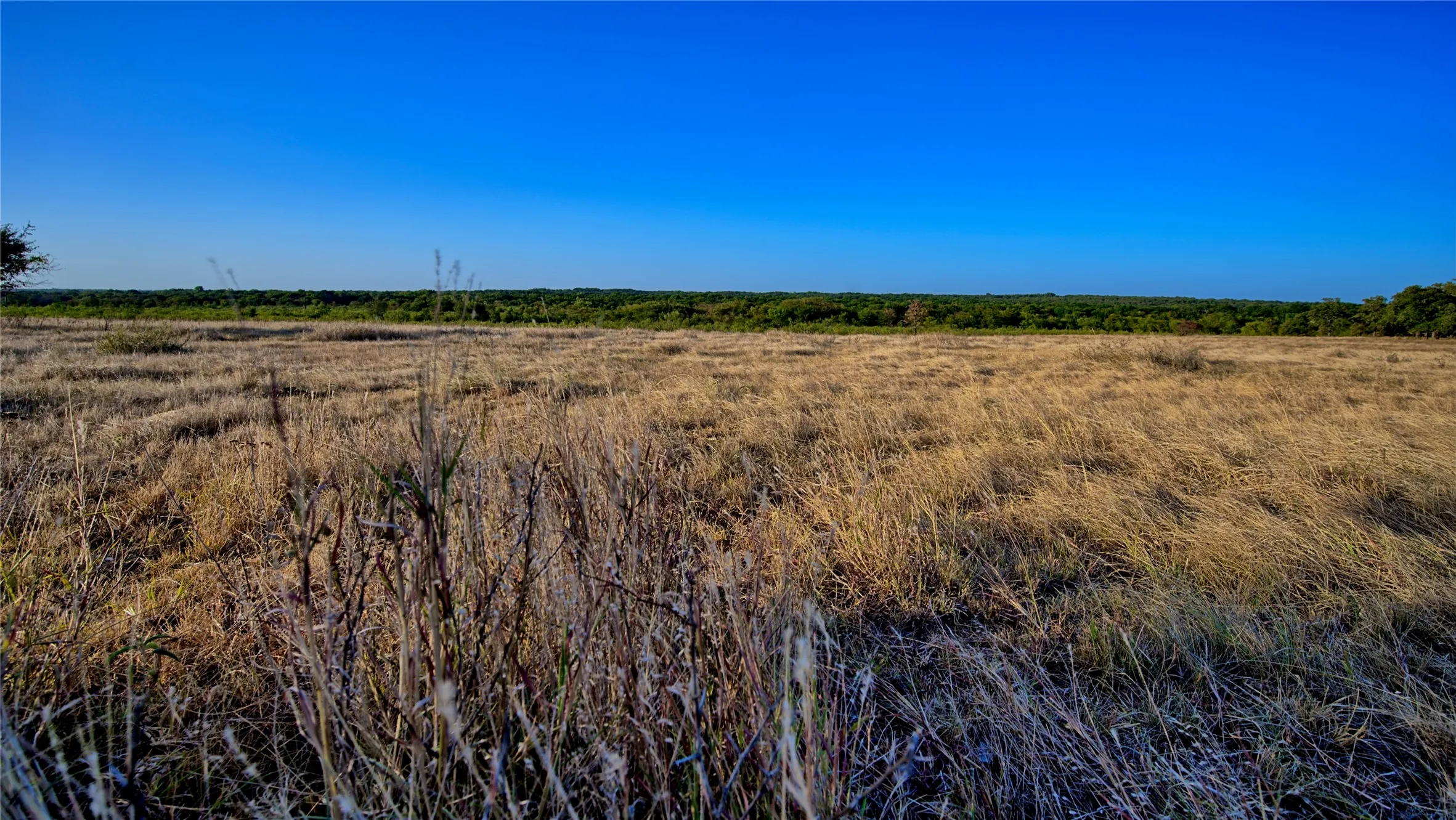Unimproved Land For Sale in Montague County , 906 Rock Springs School Road, Nocona, Texas 76255, 0, 0, Garage spaces, 0 Sqft, built in 0, mls#21368522, Real Estate Agent in Nocona, Homes For Sale in Montague county, Homes For Sale in Nocona, Realtor in Nocona Texas, Real Estate Brokerage Independent Realty Texas, Luminita Cordes Realtor