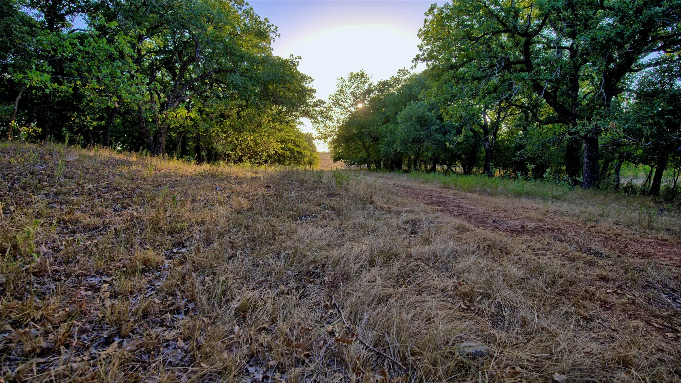 Unimproved Land For Sale in Montague County , 906 Rock Springs School Road, Nocona, Texas 76255, 0, 0, Garage spaces, 0 Sqft, built in 0, mls#21368522, Real Estate Agent in Nocona, Homes For Sale in Montague county, Homes For Sale in Nocona, Realtor in Nocona Texas, Real Estate Brokerage Independent Realty Texas, Luminita Cordes Realtor