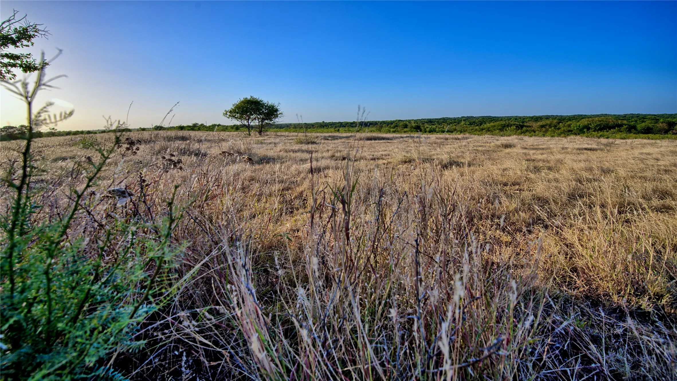 Unimproved Land For Sale in Montague County , 906 Rock Springs School Road, Nocona, Texas 76255, 0, 0, Garage spaces, 0 Sqft, built in 0, mls#21368522, Real Estate Agent in Nocona, Homes For Sale in Montague county, Homes For Sale in Nocona, Realtor in Nocona Texas, Real Estate Brokerage Independent Realty Texas, Luminita Cordes Realtor