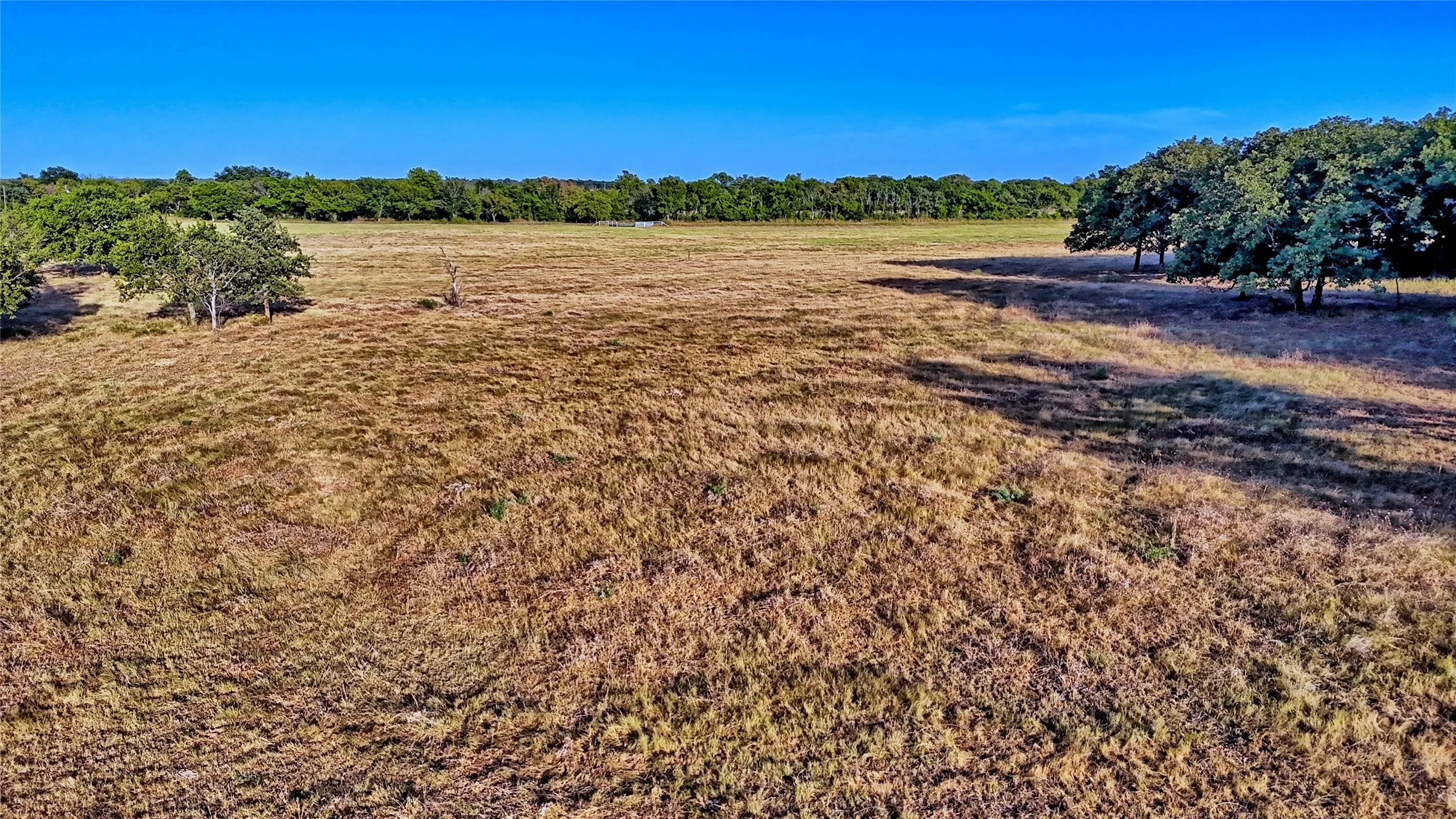 Unimproved Land For Sale in Montague County , 906 Rock Springs School Road, Nocona, Texas 76255, 0, 0, Garage spaces, 0 Sqft, built in 0, mls#21368522, Real Estate Agent in Nocona, Homes For Sale in Montague county, Homes For Sale in Nocona, Realtor in Nocona Texas, Real Estate Brokerage Independent Realty Texas, Luminita Cordes Realtor