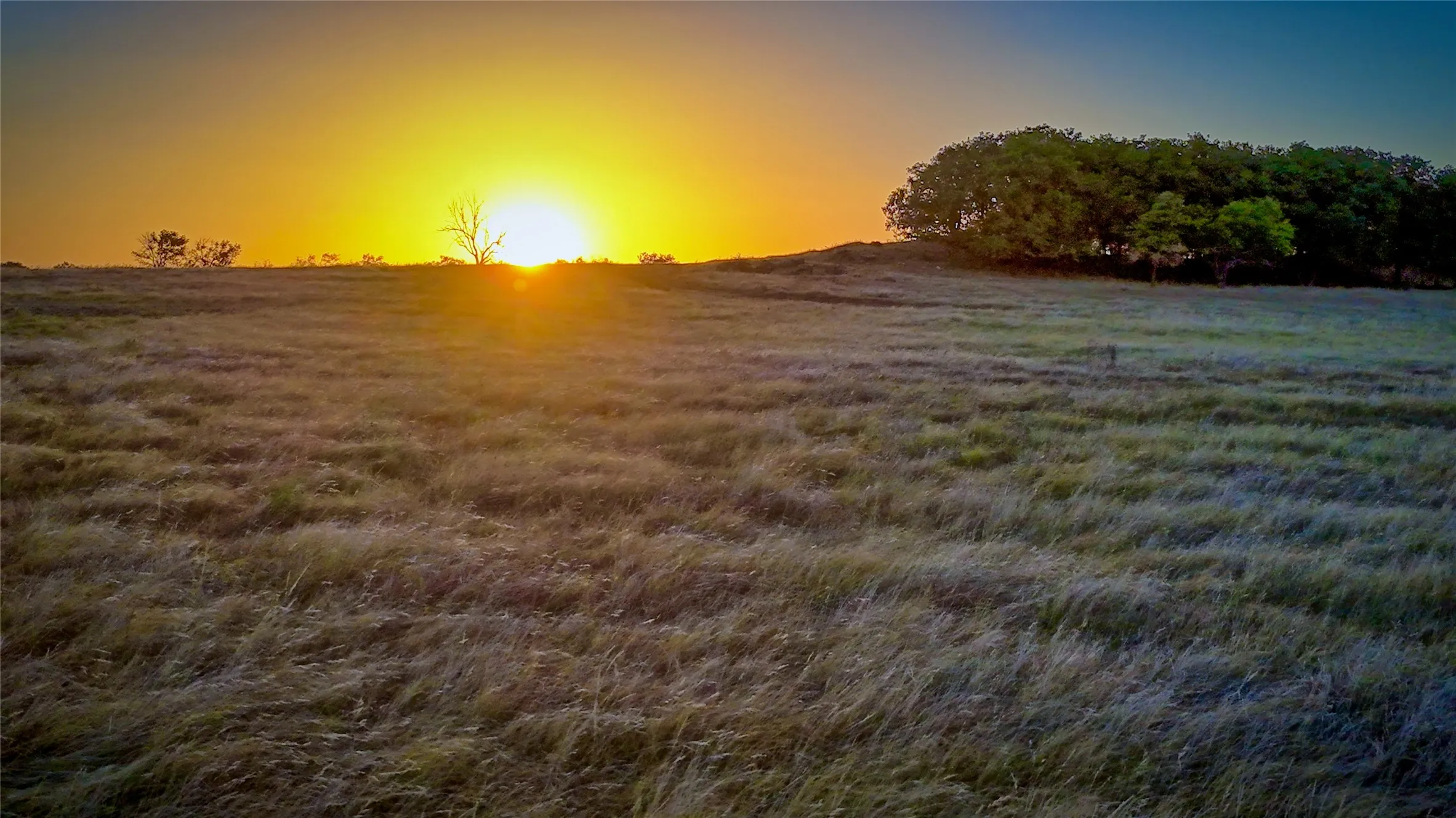 Unimproved Land For Sale in Montague County , 906 Rock Springs School Road, Nocona, Texas 76255, 0, 0, Garage spaces, 0 Sqft, built in 0, mls#21368522, Real Estate Agent in Nocona, Homes For Sale in Montague county, Homes For Sale in Nocona, Realtor in Nocona Texas, Real Estate Brokerage Independent Realty Texas, Luminita Cordes Realtor