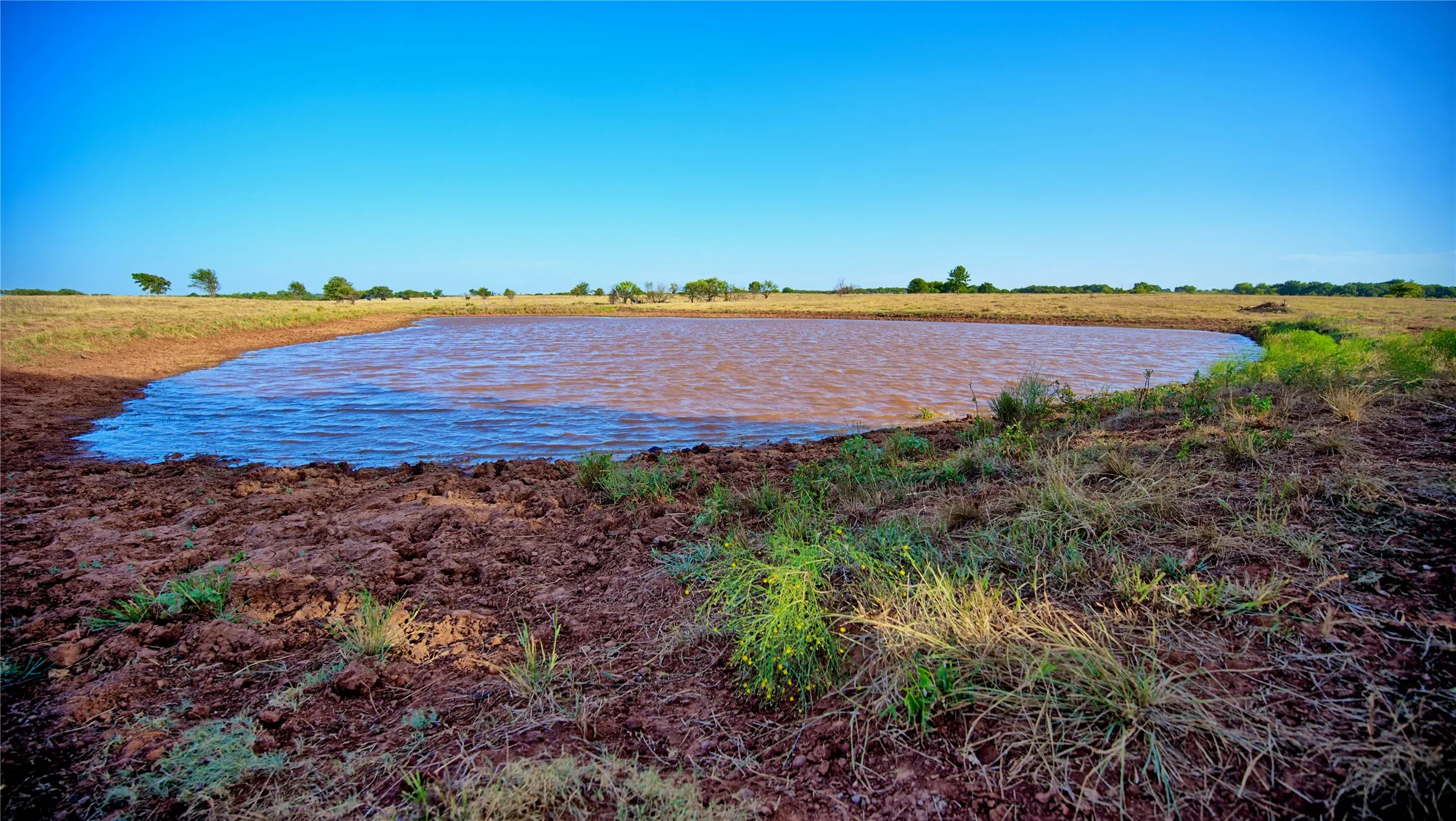 Unimproved Land For Sale in Montague County , 906 Rock Springs School Road, Nocona, Texas 76255, 0, 0, Garage spaces, 0 Sqft, built in 0, mls#21368522, Real Estate Agent in Nocona, Homes For Sale in Montague county, Homes For Sale in Nocona, Realtor in Nocona Texas, Real Estate Brokerage Independent Realty Texas, Luminita Cordes Realtor