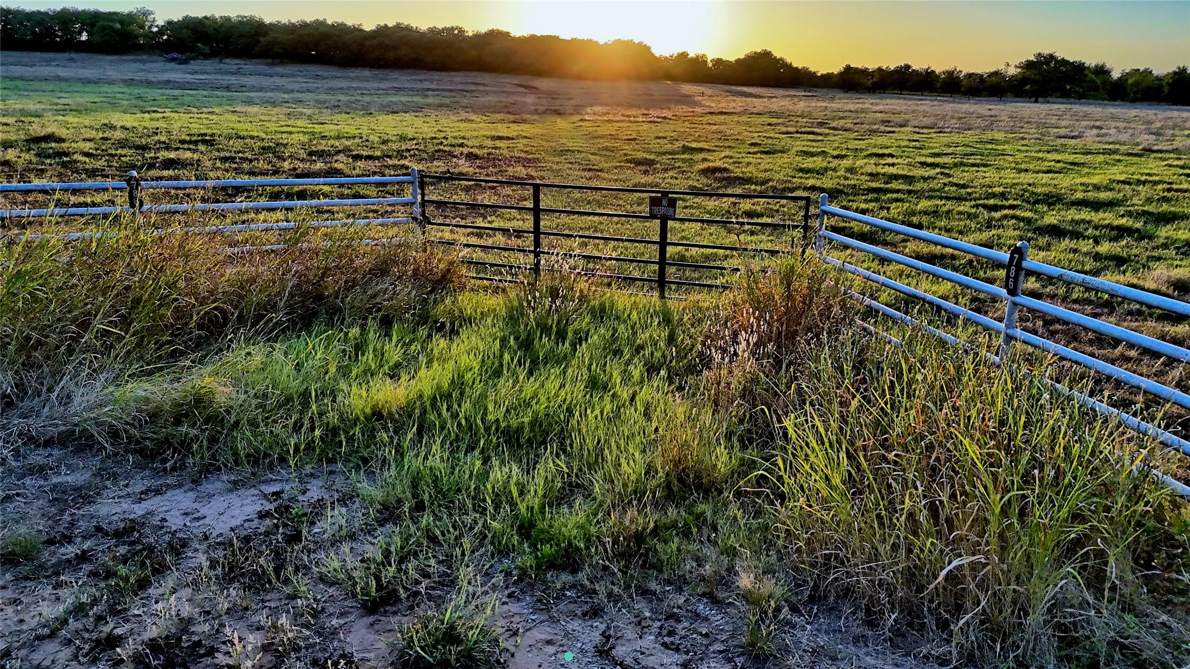 Unimproved Land For Sale in Montague County , 906 Rock Springs School Road, Nocona, Texas 76255, 0, 0, Garage spaces, 0 Sqft, built in 0, mls#21368522, Real Estate Agent in Nocona, Homes For Sale in Montague county, Homes For Sale in Nocona, Realtor in Nocona Texas, Real Estate Brokerage Independent Realty Texas, Luminita Cordes Realtor