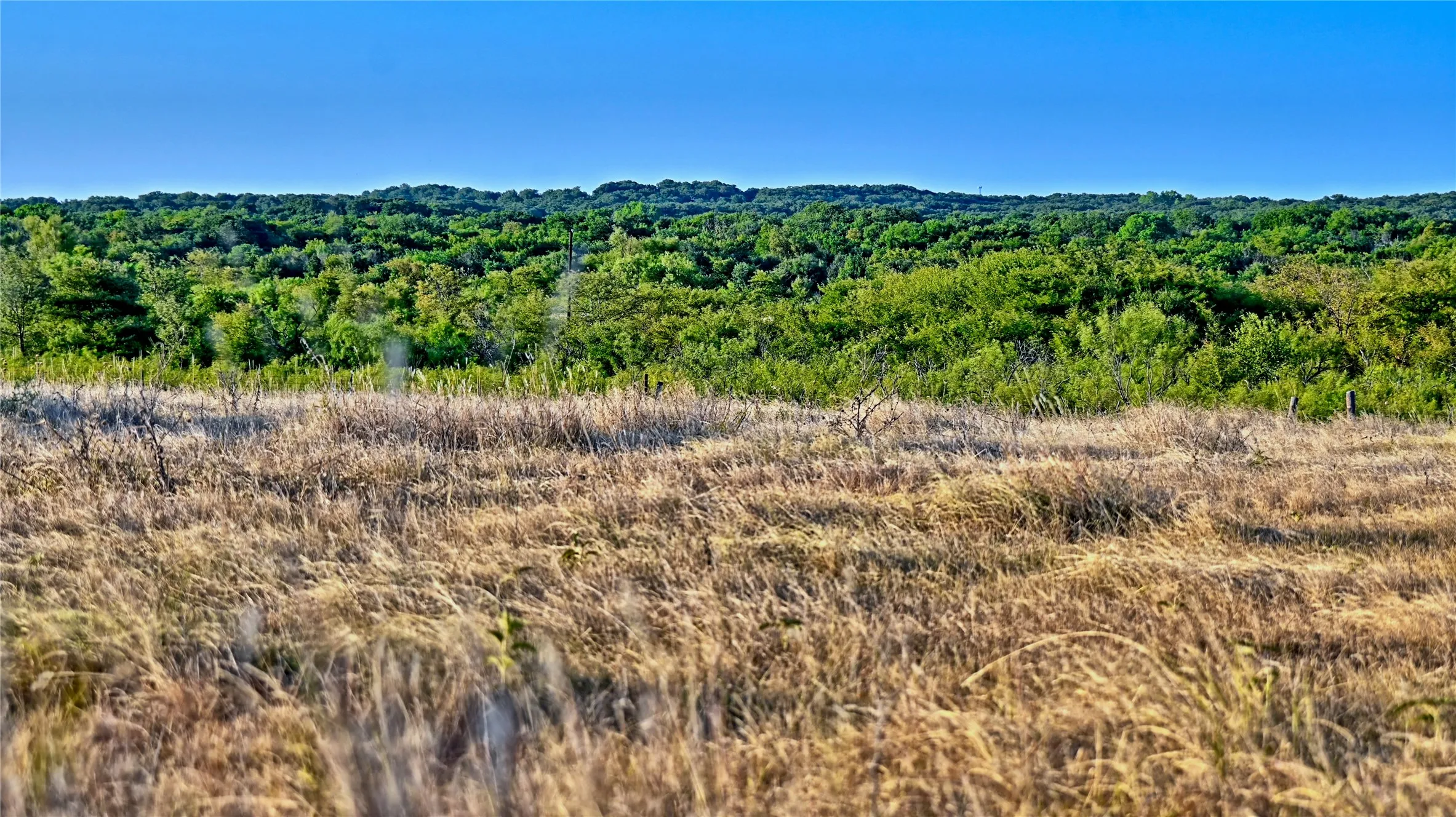 Unimproved Land For Sale in Montague County , 906 Rock Springs School Road, Nocona, Texas 76255, 0, 0, Garage spaces, 0 Sqft, built in 0, mls#21368522, Real Estate Agent in Nocona, Homes For Sale in Montague county, Homes For Sale in Nocona, Realtor in Nocona Texas, Real Estate Brokerage Independent Realty Texas, Luminita Cordes Realtor