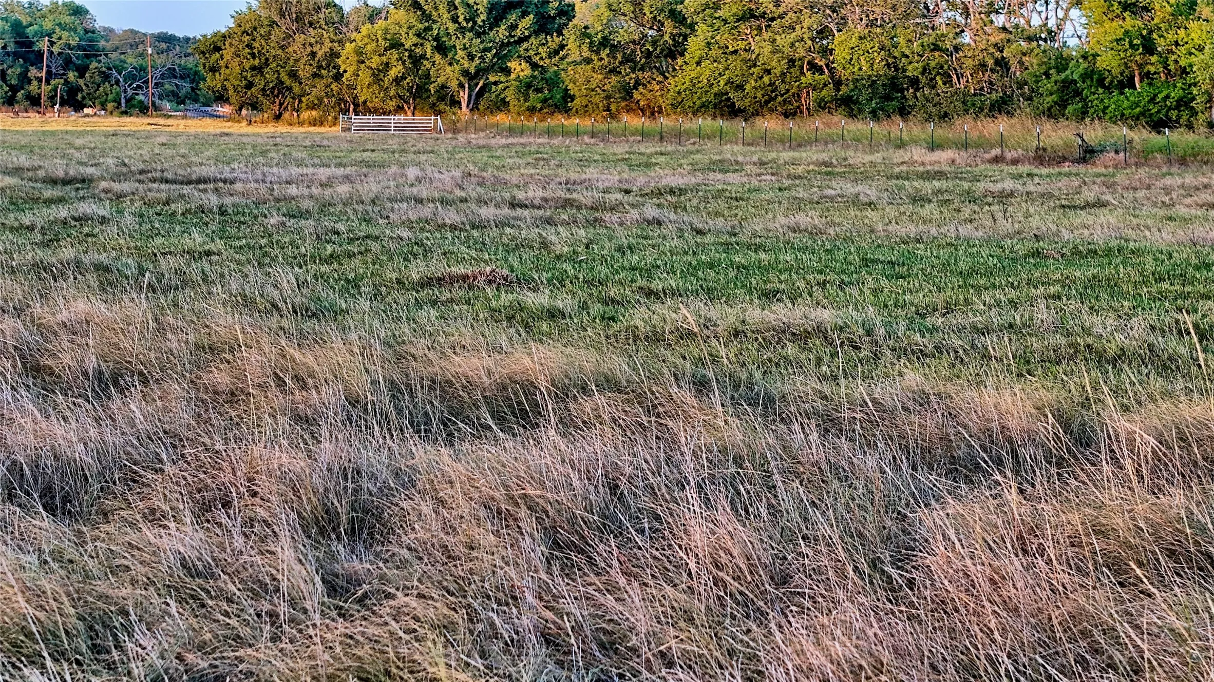 Unimproved Land For Sale in Montague County , 906 Rock Springs School Road, Nocona, Texas 76255, 0, 0, Garage spaces, 0 Sqft, built in 0, mls#21368522, Real Estate Agent in Nocona, Homes For Sale in Montague county, Homes For Sale in Nocona, Realtor in Nocona Texas, Real Estate Brokerage Independent Realty Texas, Luminita Cordes Realtor