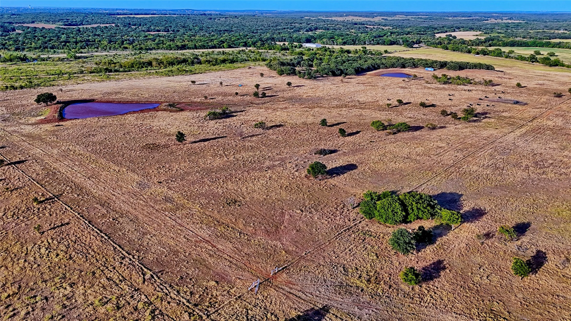 Unimproved Land For Sale in Montague County , 906 Rock Springs School Road, Nocona, Texas 76255, 0, 0, Garage spaces, 0 Sqft, built in 0, mls#21368522, Real Estate Agent in Nocona, Homes For Sale in Montague county, Homes For Sale in Nocona, Realtor in Nocona Texas, Real Estate Brokerage Independent Realty Texas, Luminita Cordes Realtor