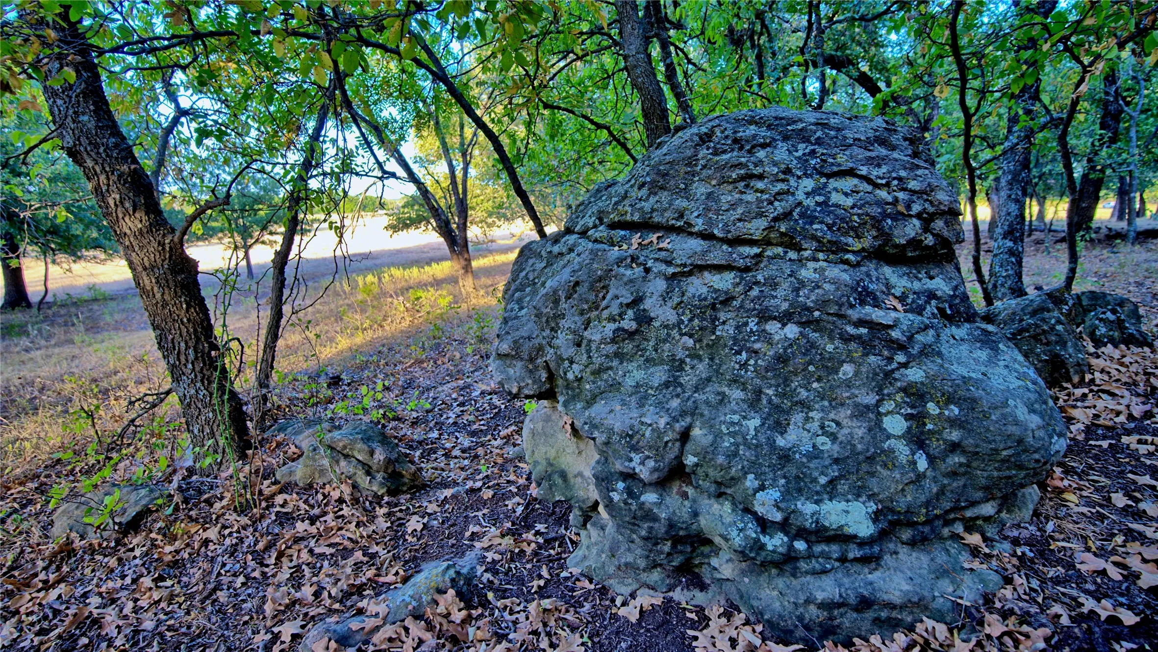Unimproved Land For Sale in Montague County , 906 Rock Springs School Road, Nocona, Texas 76255, 0, 0, Garage spaces, 0 Sqft, built in 0, mls#21368522, Real Estate Agent in Nocona, Homes For Sale in Montague county, Homes For Sale in Nocona, Realtor in Nocona Texas, Real Estate Brokerage Independent Realty Texas, Luminita Cordes Realtor