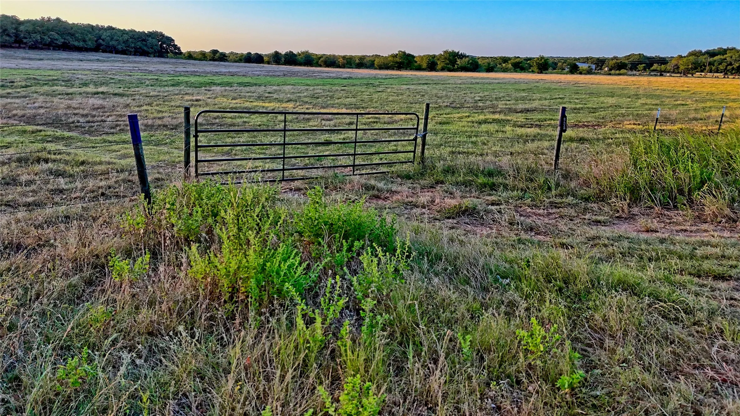 Unimproved Land For Sale in Montague County , 906 Rock Springs School Road, Nocona, Texas 76255, 0, 0, Garage spaces, 0 Sqft, built in 0, mls#21368522, Real Estate Agent in Nocona, Homes For Sale in Montague county, Homes For Sale in Nocona, Realtor in Nocona Texas, Real Estate Brokerage Independent Realty Texas, Luminita Cordes Realtor