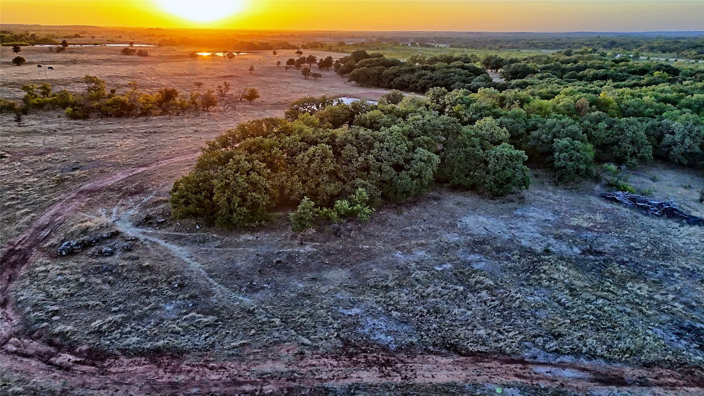 Unimproved Land For Sale in Montague County , 906 Rock Springs School Road, Nocona, Texas 76255, 0, 0, Garage spaces, 0 Sqft, built in 0, mls#21368522, Real Estate Agent in Nocona, Homes For Sale in Montague county, Homes For Sale in Nocona, Realtor in Nocona Texas, Real Estate Brokerage Independent Realty Texas, Luminita Cordes Realtor