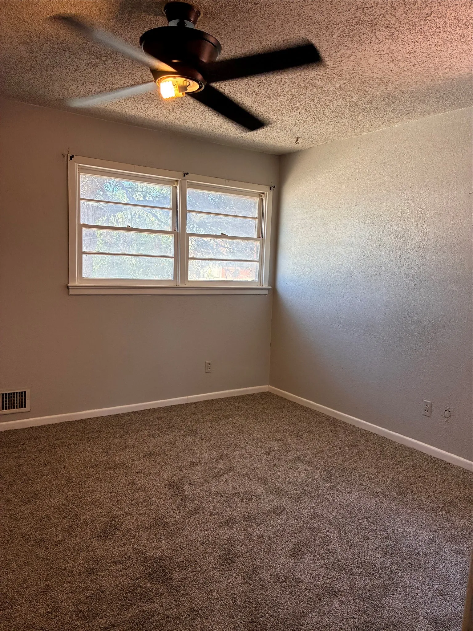Dual windows, ceiling fan with integrated lighting, textured ceiling, and carpeted flooring