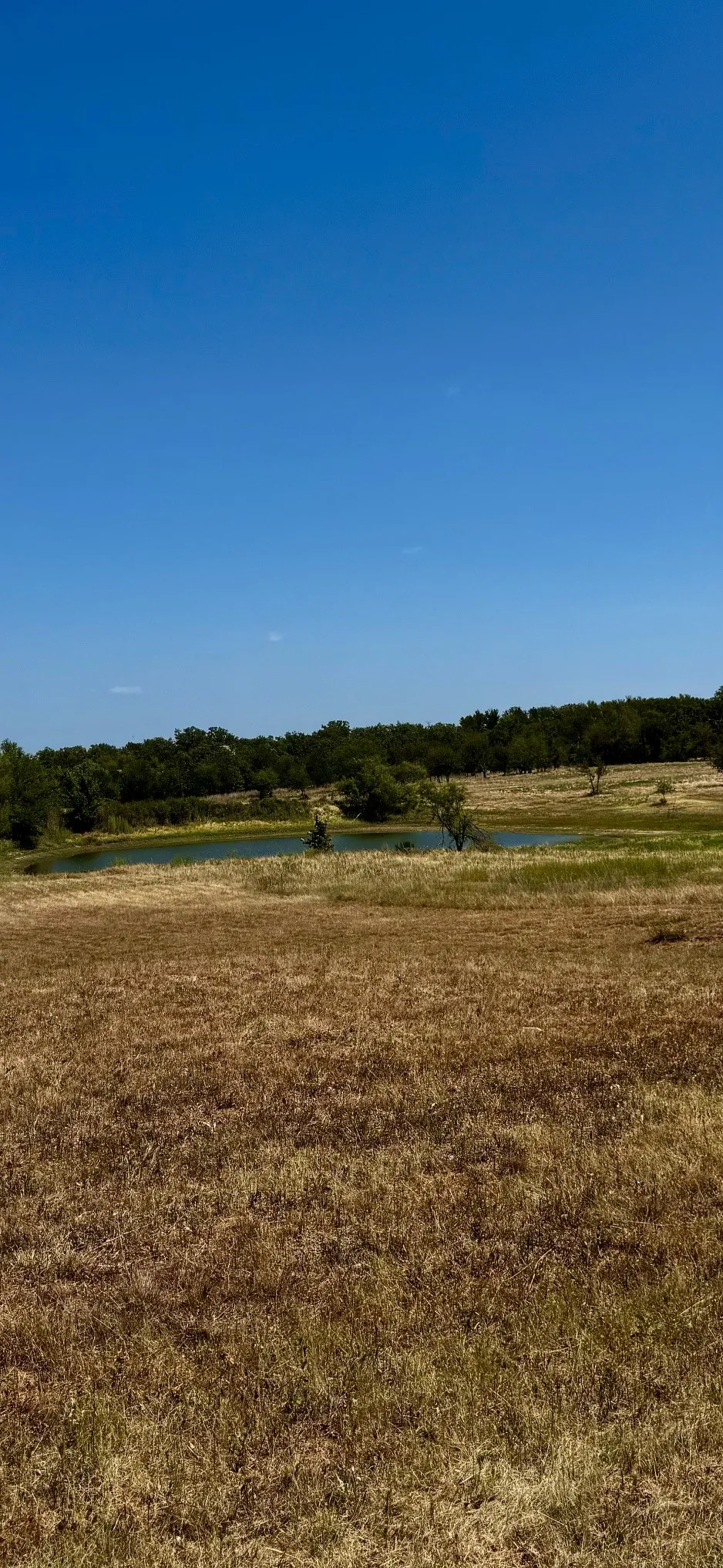 Unimproved Land For Sale in Parker County , 2005 Hilltop Cove, Springtown, Texas 76082, 0, 0, Garage spaces, 0 Sqft, built in 0, mls#21355949, Real Estate Agent in Springtown, Homes For Sale in Parker county, Homes For Sale in Springtown, Realtor in Springtown Texas, Real Estate Brokerage Independent Realty Texas, Luminita Cordes Realtor