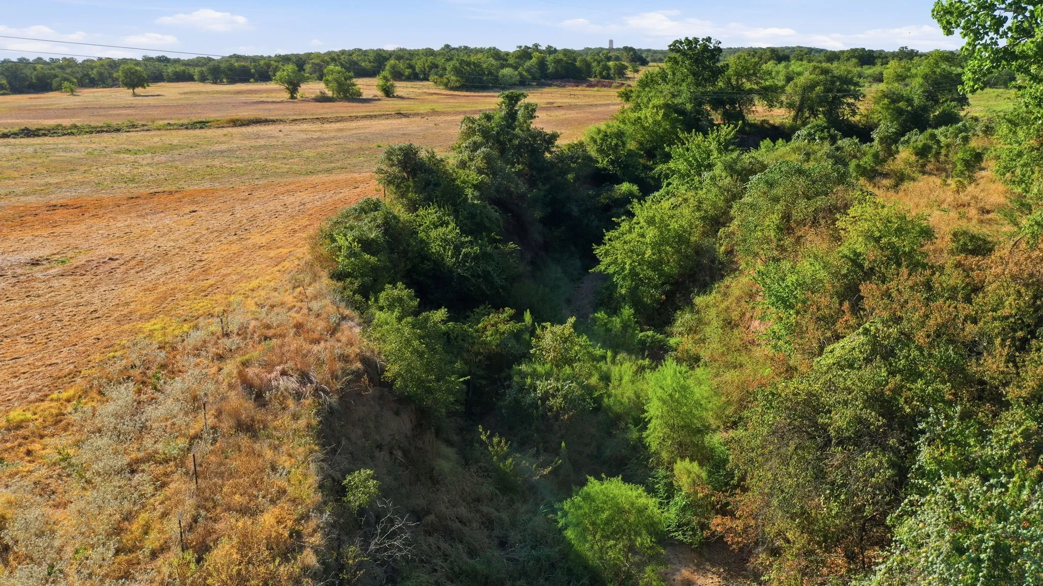 Improved Land For Sale in Wise County , 257 County Road 3850, Poolville, Texas 76487, 0, 0, Garage spaces, 0 Sqft, built in 0, mls#21368344, Real Estate Agent in Poolville, Homes For Sale in Wise county, Homes For Sale in Poolville, Realtor in Poolville Texas, Real Estate Brokerage Independent Realty Texas, Luminita Cordes Realtor