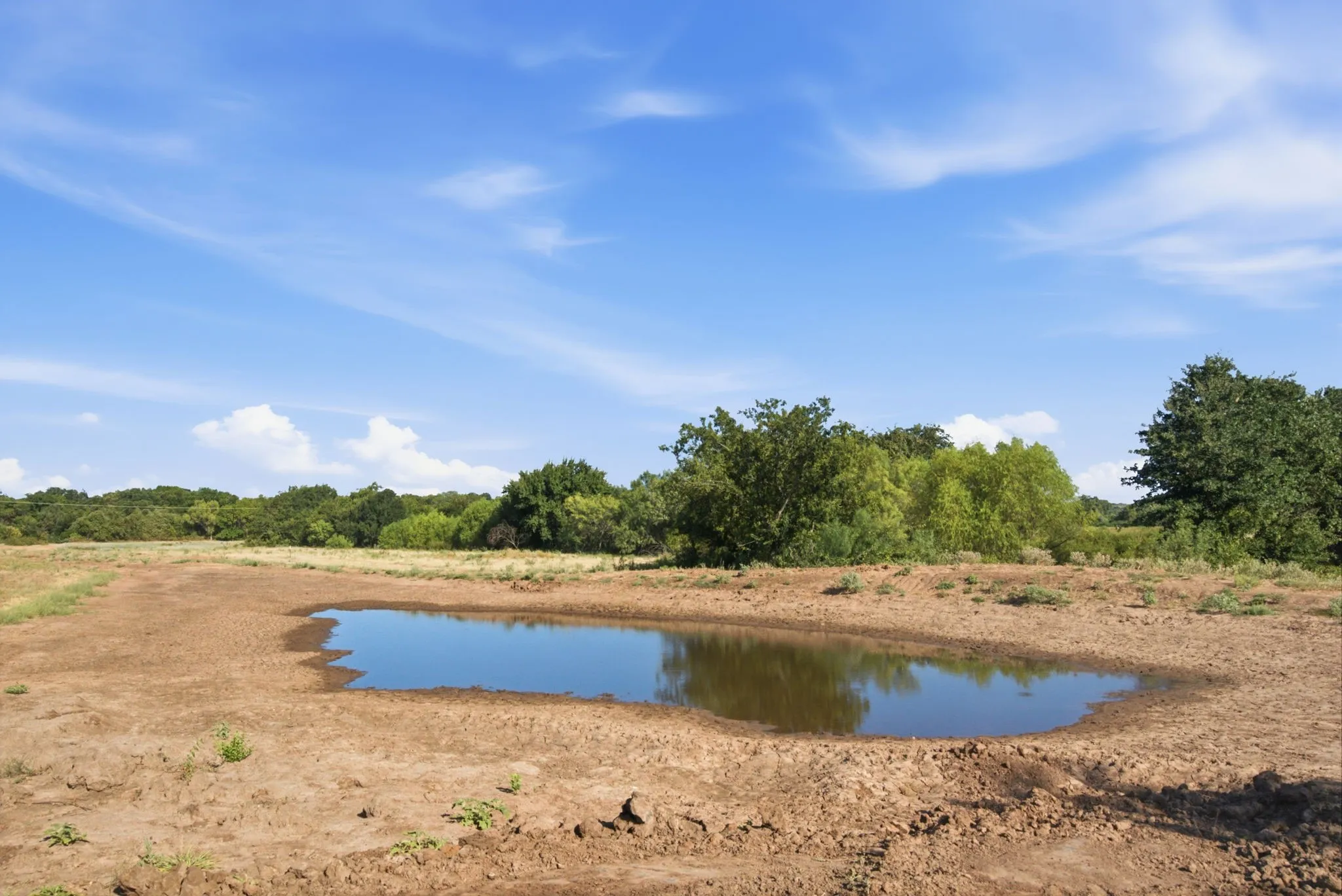 Improved Land For Sale in Wise County , 257 County Road 3850, Poolville, Texas 76487, 0, 0, Garage spaces, 0 Sqft, built in 0, mls#21368344, Real Estate Agent in Poolville, Homes For Sale in Wise county, Homes For Sale in Poolville, Realtor in Poolville Texas, Real Estate Brokerage Independent Realty Texas, Luminita Cordes Realtor
