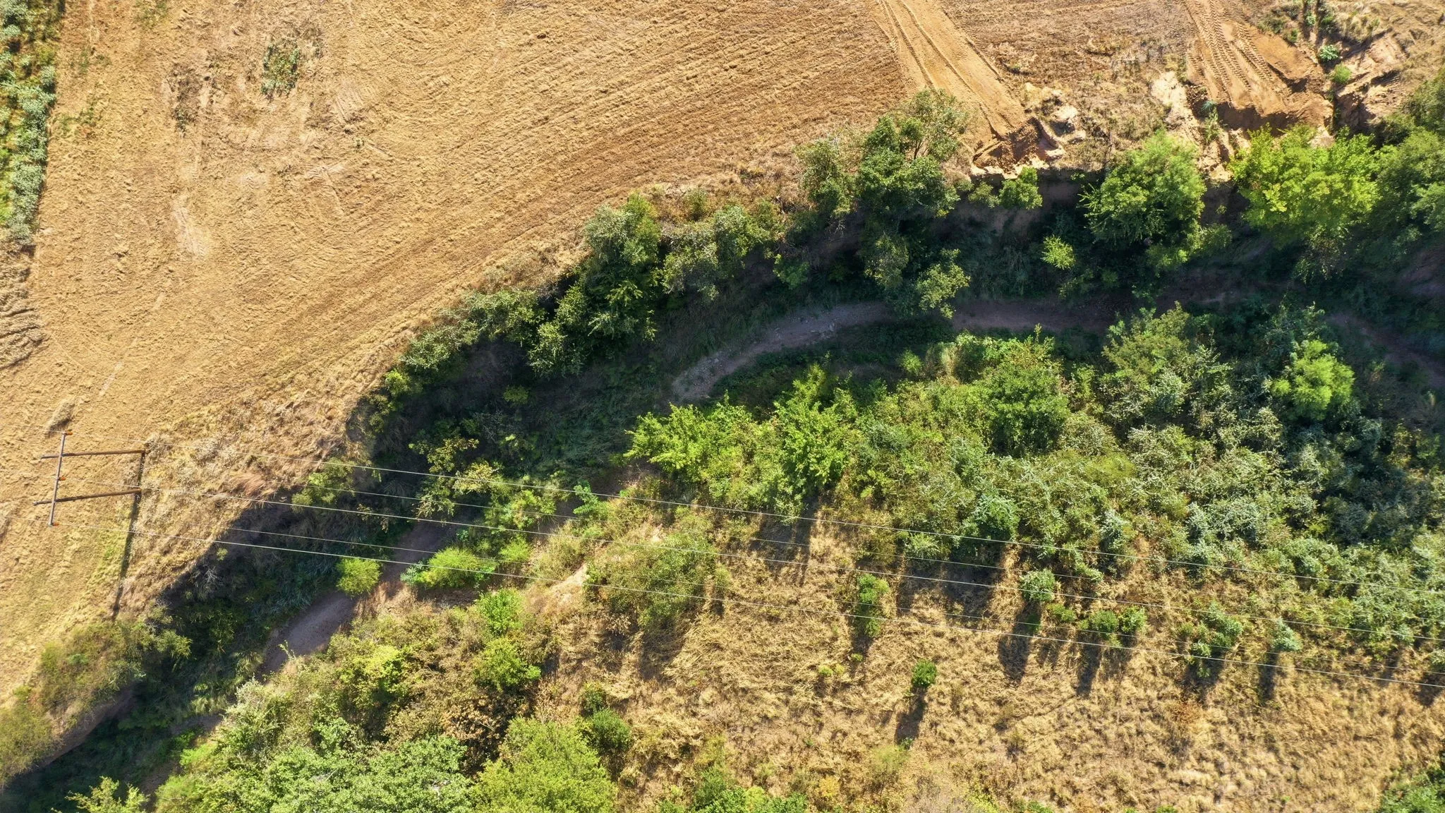 Improved Land For Sale in Wise County , 257 County Road 3850, Poolville, Texas 76487, 0, 0, Garage spaces, 0 Sqft, built in 0, mls#21368344, Real Estate Agent in Poolville, Homes For Sale in Wise county, Homes For Sale in Poolville, Realtor in Poolville Texas, Real Estate Brokerage Independent Realty Texas, Luminita Cordes Realtor