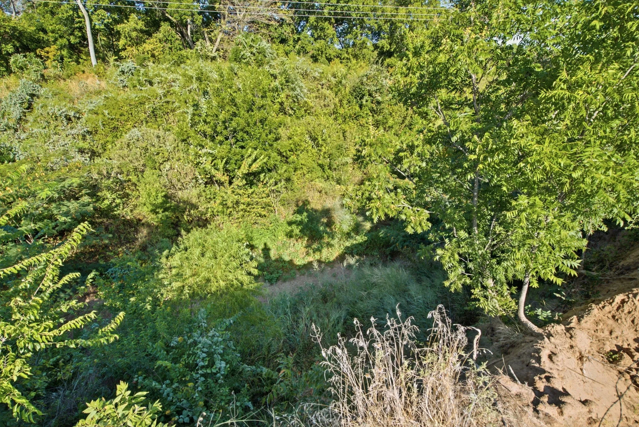 Improved Land For Sale in Wise County , 257 County Road 3850, Poolville, Texas 76487, 0, 0, Garage spaces, 0 Sqft, built in 0, mls#21368344, Real Estate Agent in Poolville, Homes For Sale in Wise county, Homes For Sale in Poolville, Realtor in Poolville Texas, Real Estate Brokerage Independent Realty Texas, Luminita Cordes Realtor