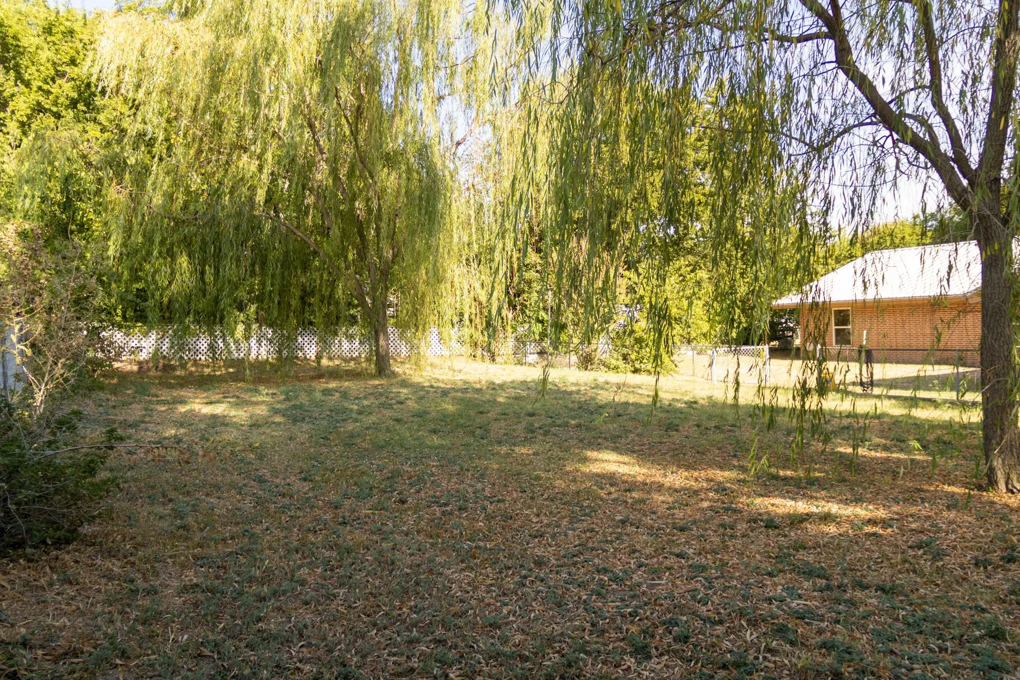 Expansive yard featuring mature willow trees, perimeter fencing, and a detached structure with siding and a metal roof