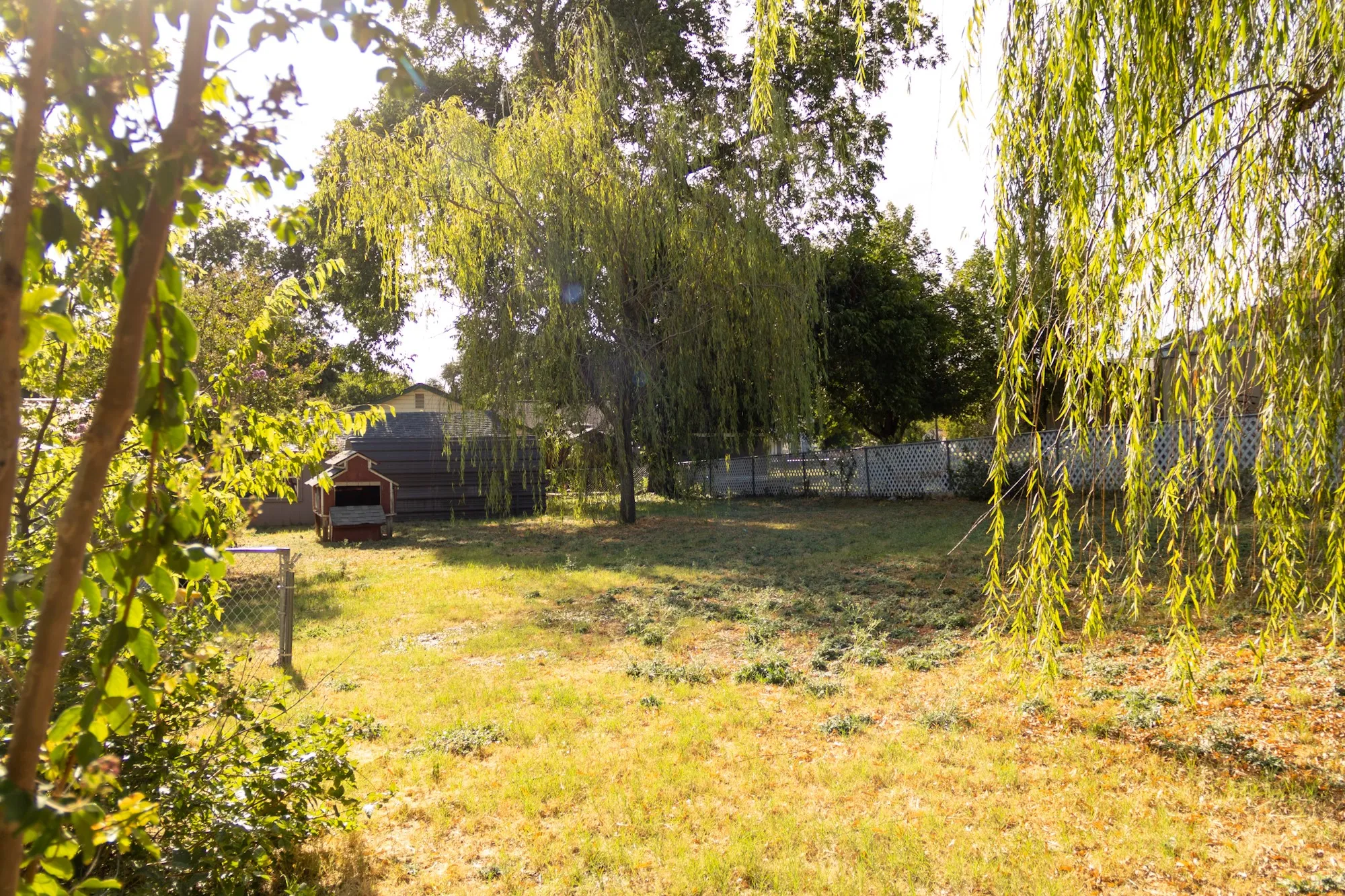 Expansive grassy yard with mature trees