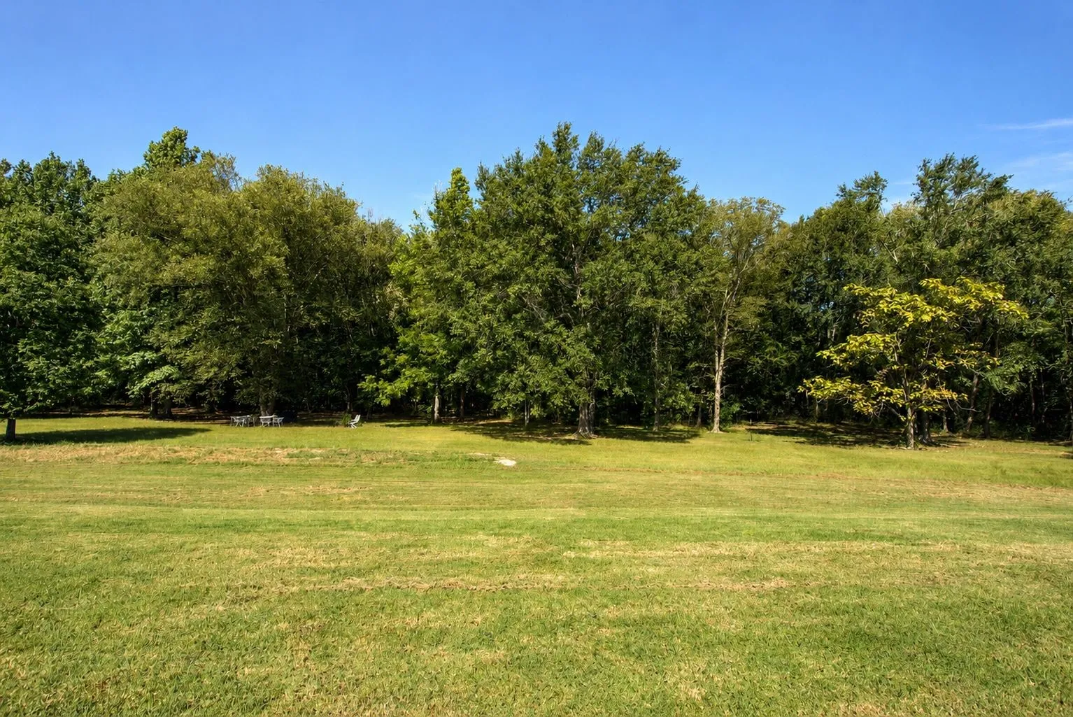 Farm For Sale in Upshur County , 216 PR 3463, Gladewater, Texas 75647, 3 Bedroom, 2 Bathroom, Garage spaces, 2,195 Sqft, built in 2009, mls#21368051, Real Estate Agent in Gladewater, Homes For Sale in Upshur county, Homes For Sale in Gladewater, Realtor in Gladewater Texas, Real Estate Brokerage Independent Realty Texas, Luminita Cordes Realtor