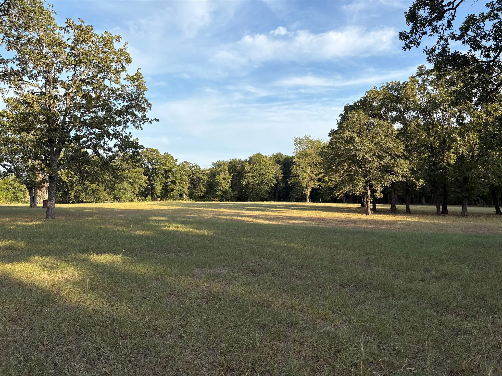 Lot 9