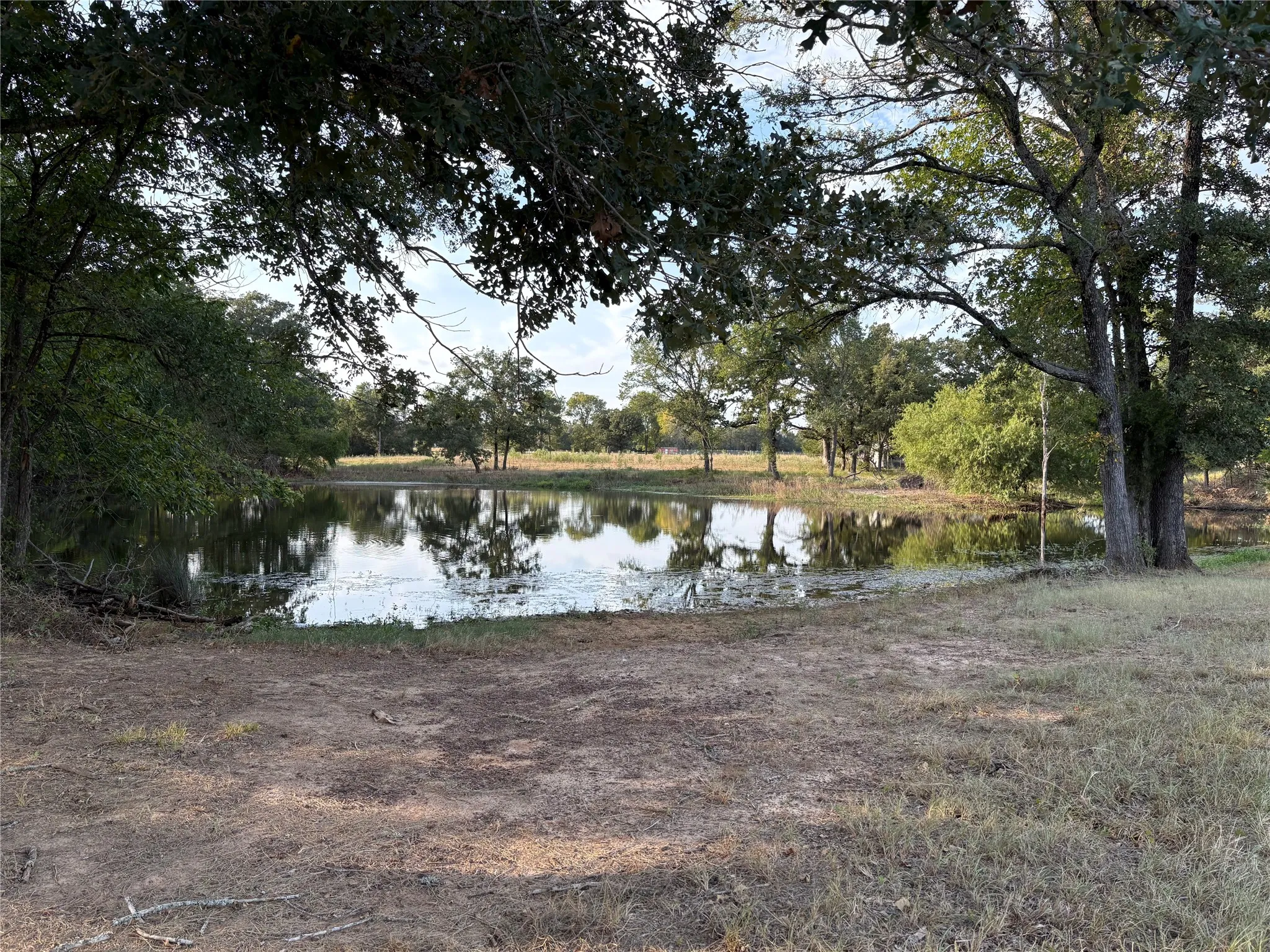 Lot 12