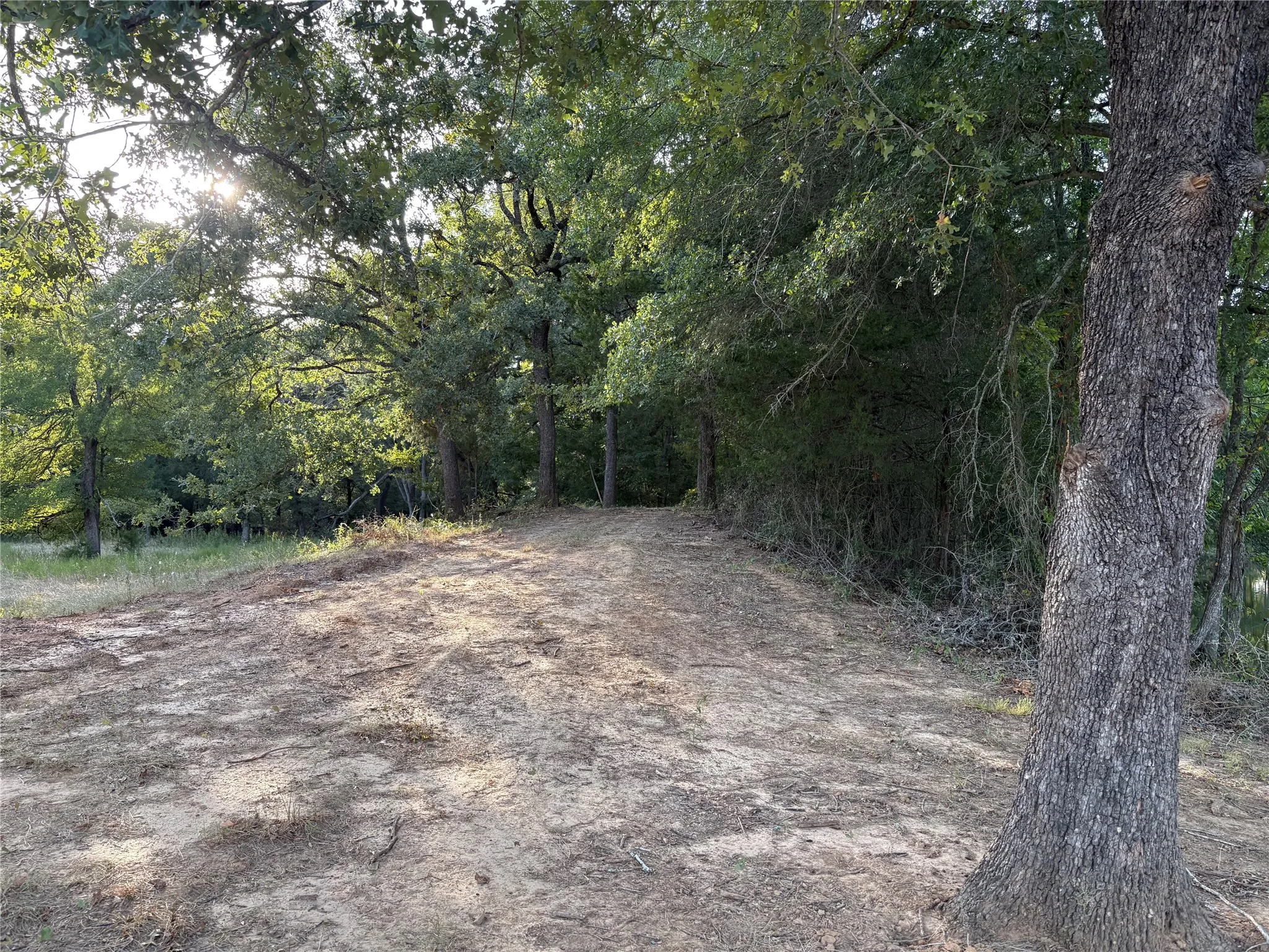 Unimproved Land For Sale in Limestone County , 134 Private Road 5762, Groesbeck, Texas 76642, 0, 0, Garage spaces, 0 Sqft, built in 0, mls#21368471, Real Estate Agent in Groesbeck, Homes For Sale in Limestone county, Homes For Sale in Groesbeck, Realtor in Groesbeck Texas, Real Estate Brokerage Independent Realty Texas, Luminita Cordes Realtor